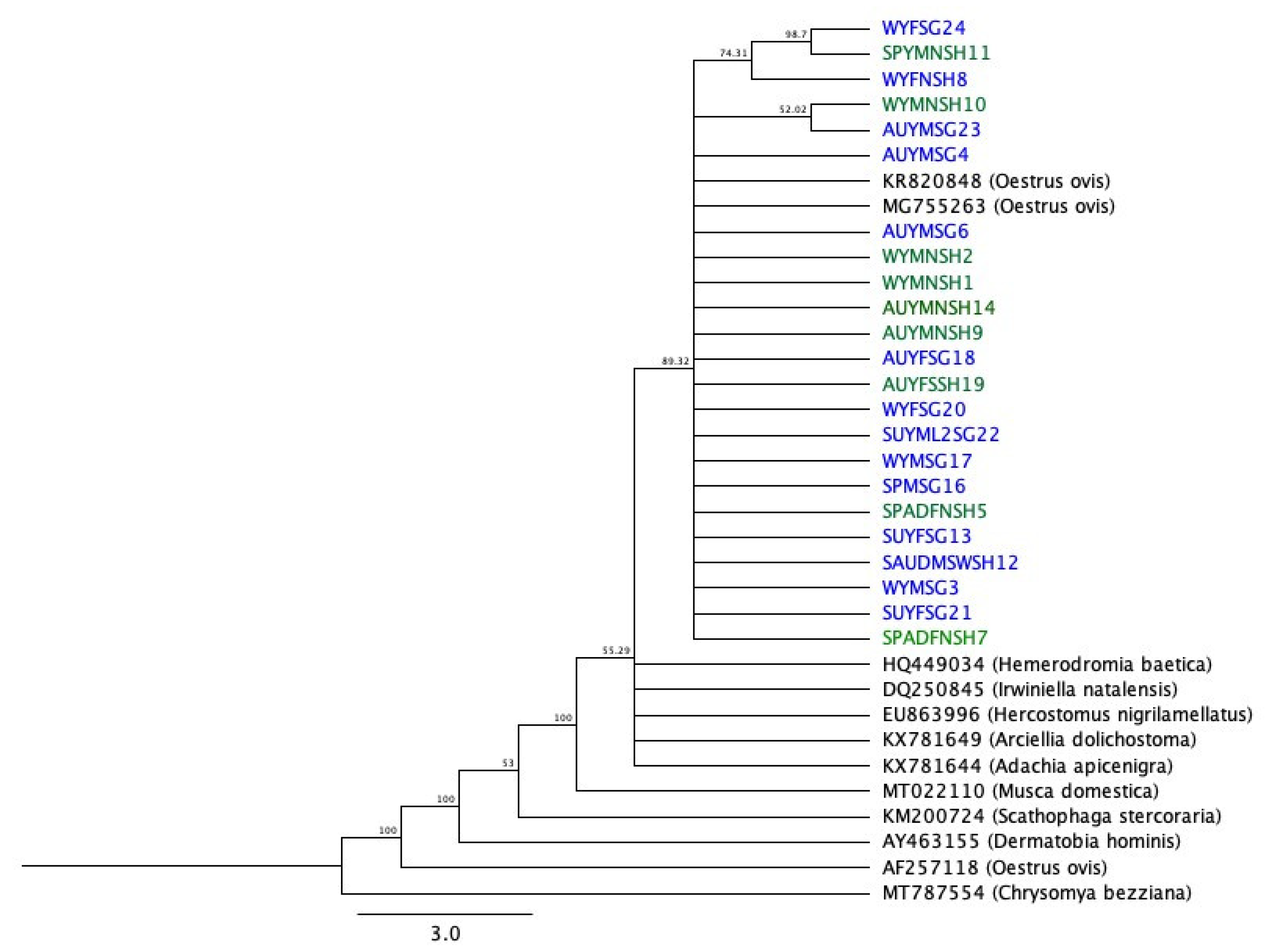 Animals 11 00689 g005 Animals 11 00689 g005