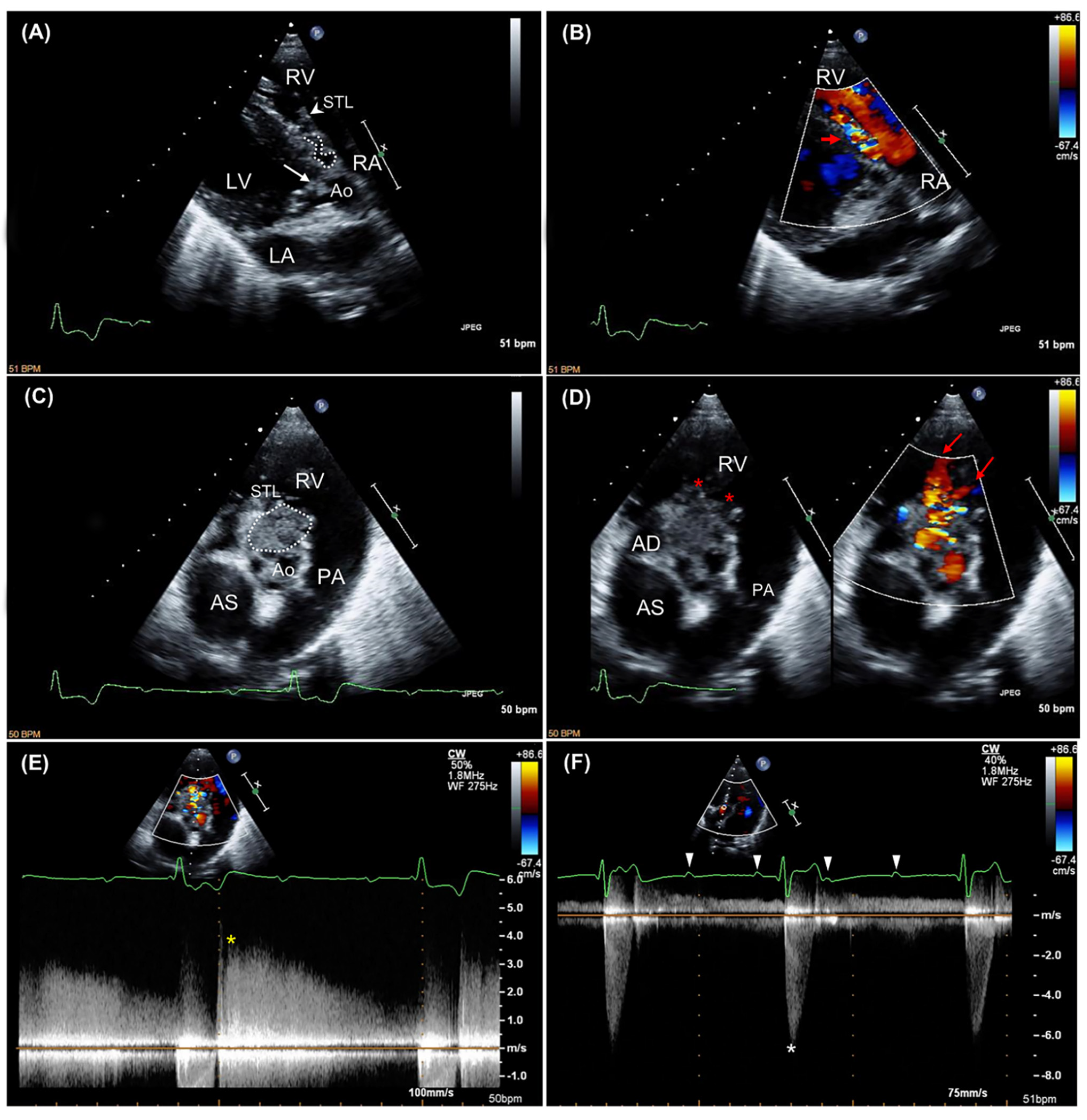 Animals 11 00690 g001