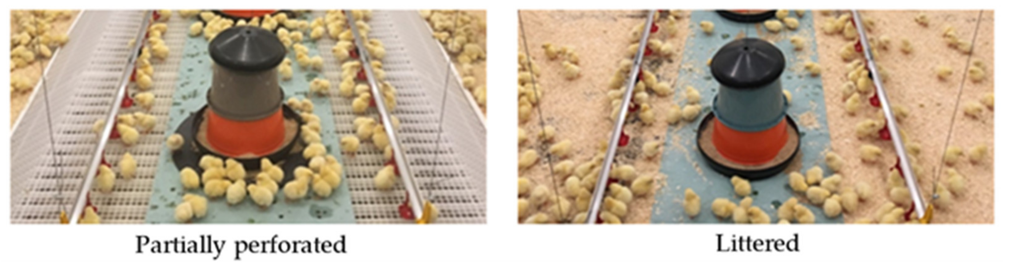 Animals 11 00707 g001