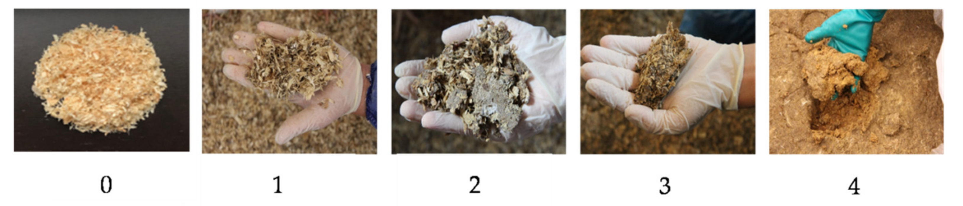 Animals 11 00707 g003