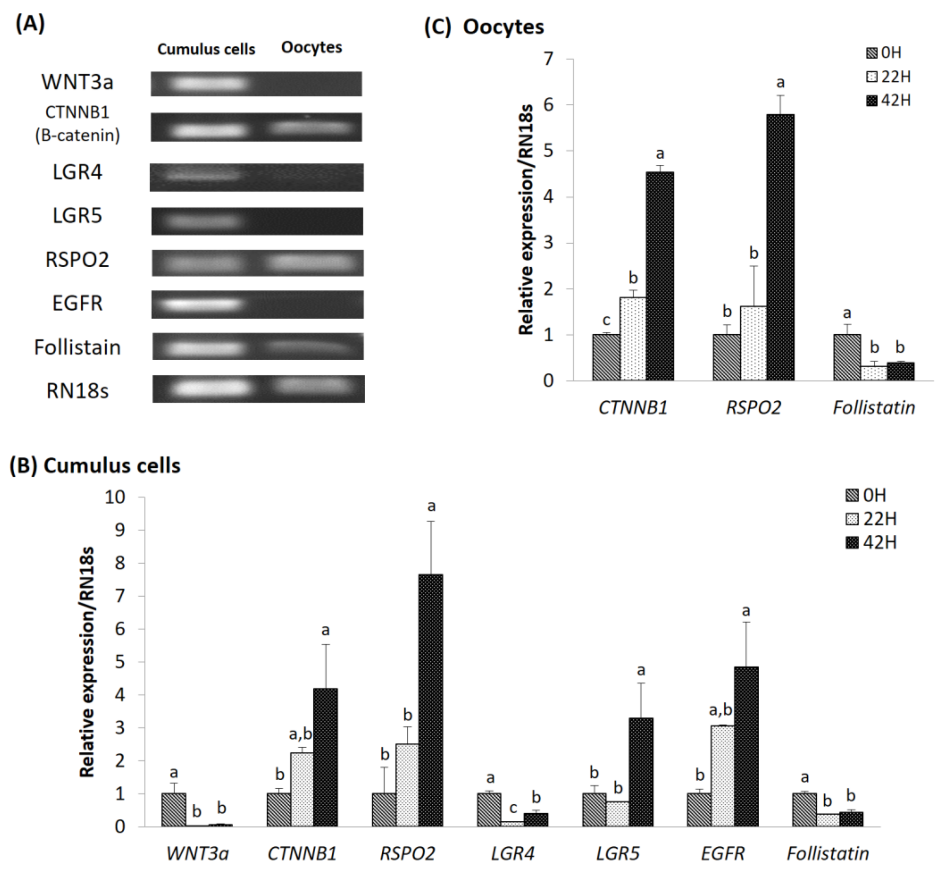 Animals 11 00709 g002 Animals 11 00709 g002