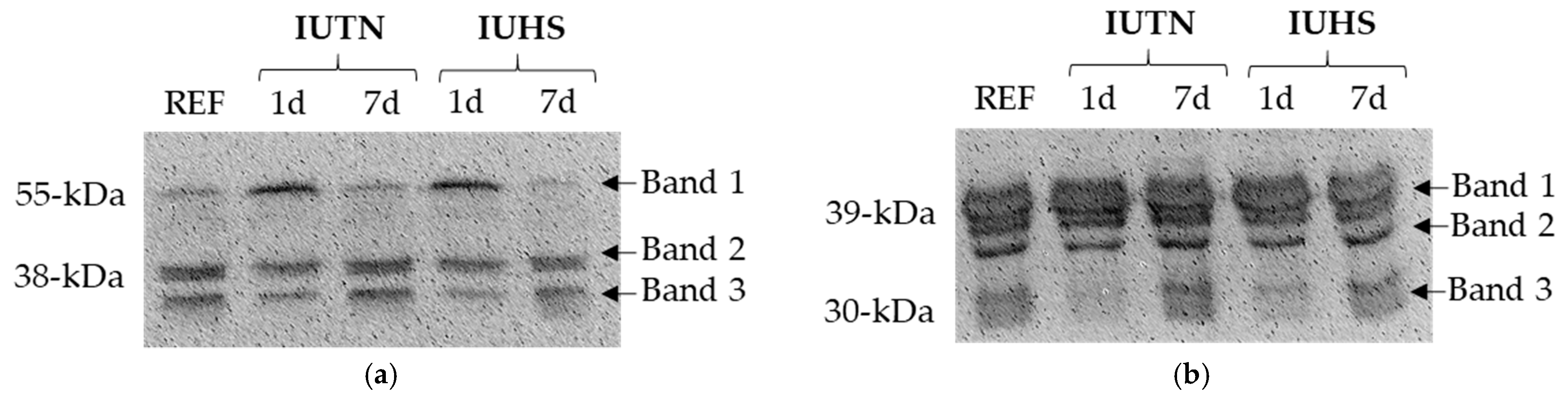 Animals 11 00717 g002 Animals 11 00717 g002