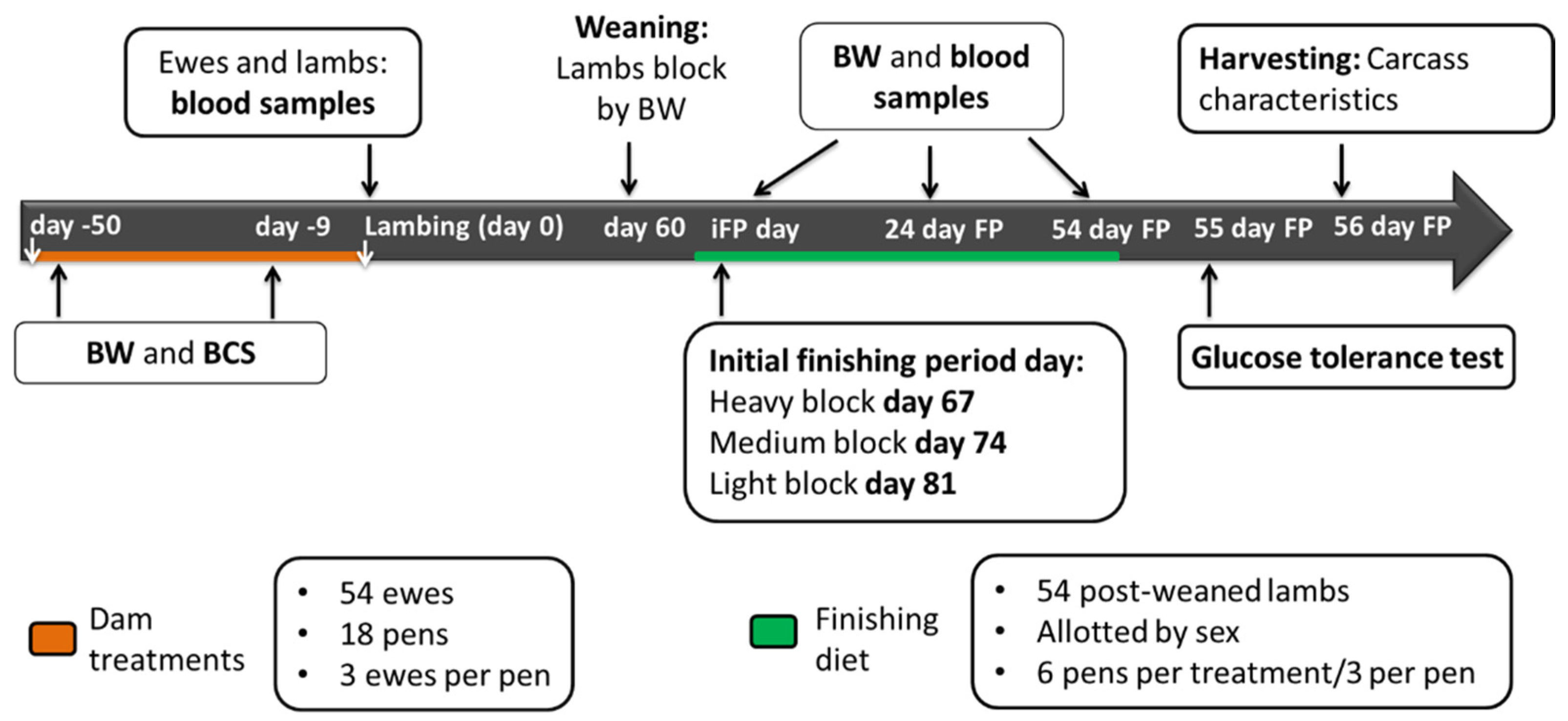 Animals 11 00719 g001