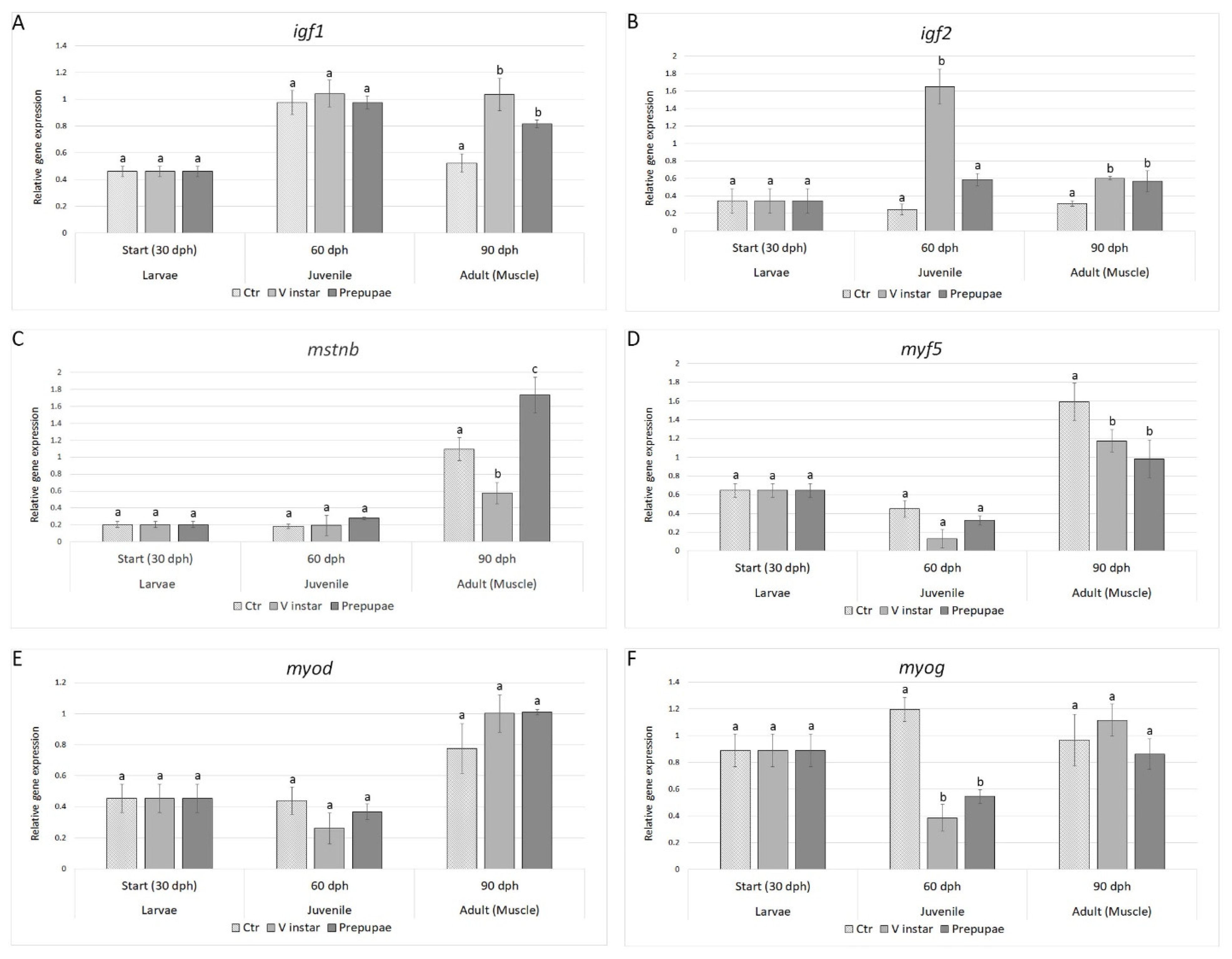 Animals Free Full Text Black Soldier Fly Hermetia Illucens Larvae And Prepupae Defatted Meals In Diets For Zebrafish Danio Rerio Html