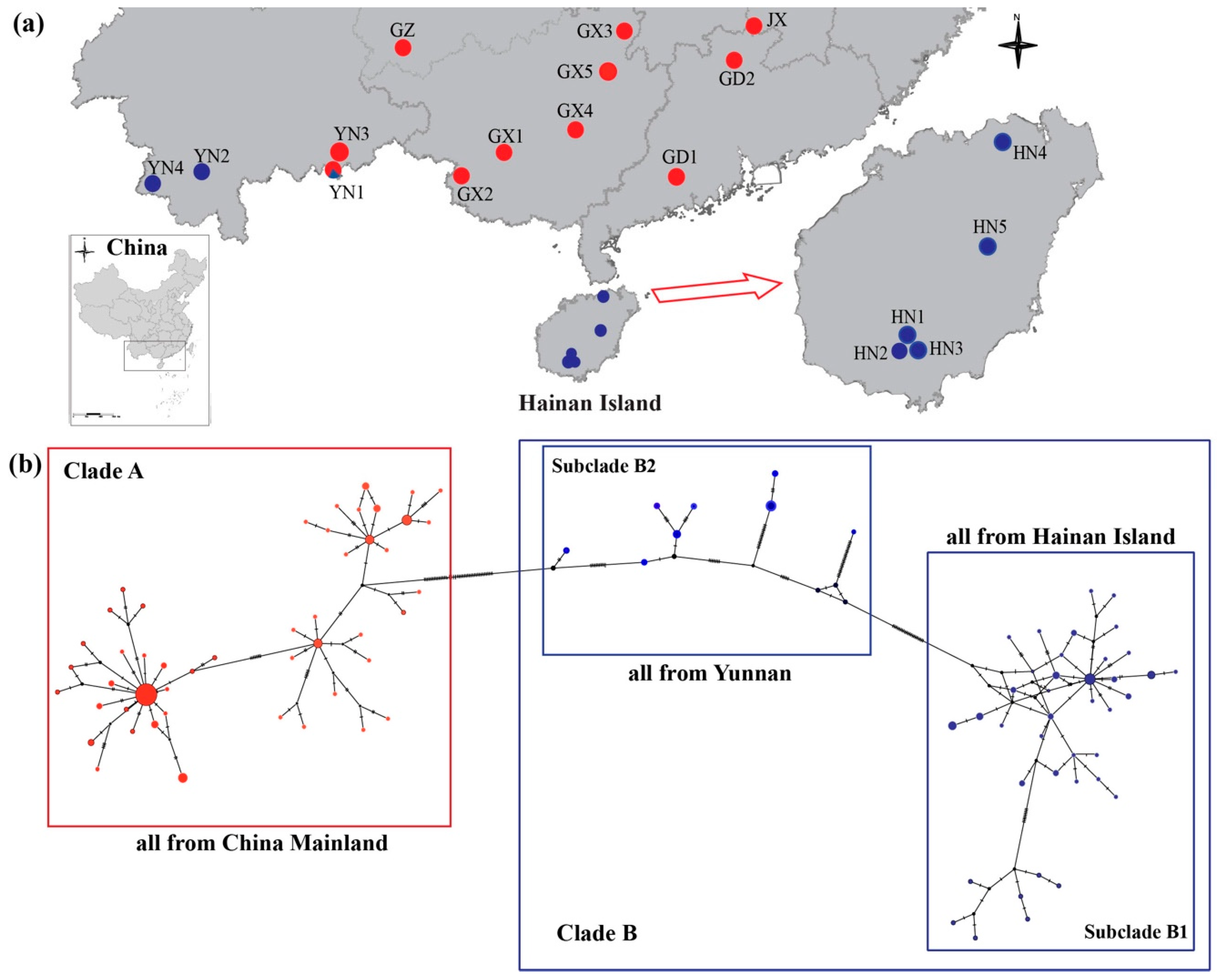 Animals 11 00733 g001