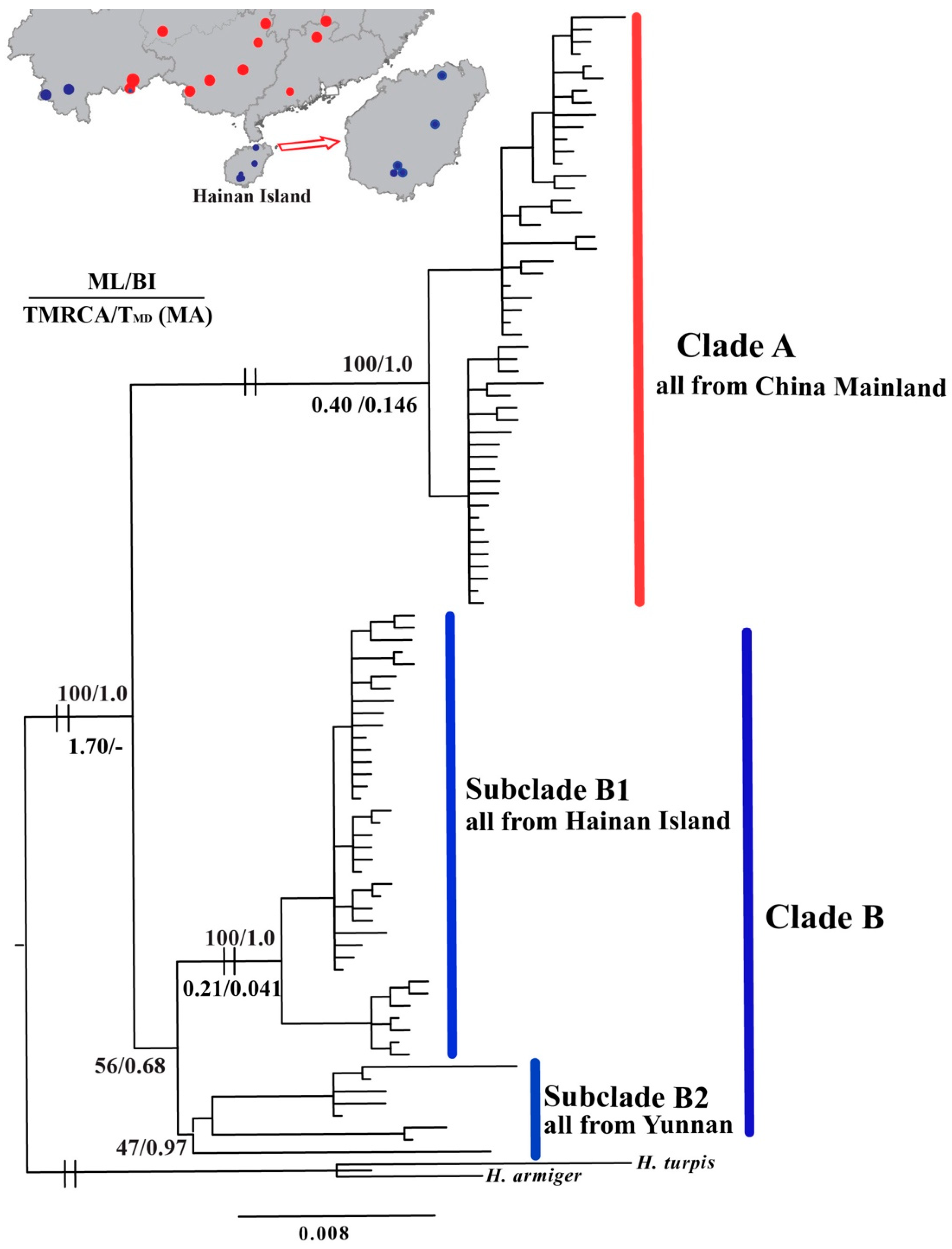Animals 11 00733 g002