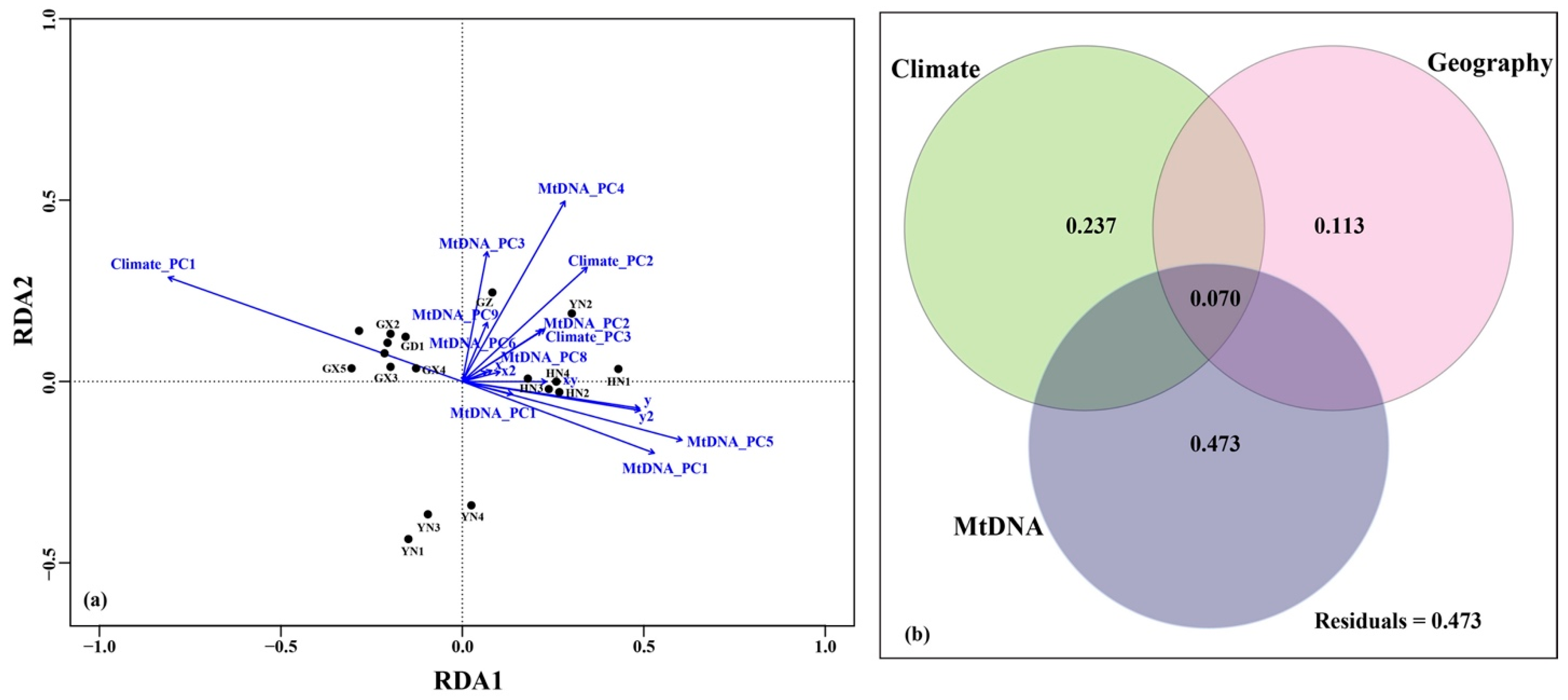 Animals 11 00733 g004