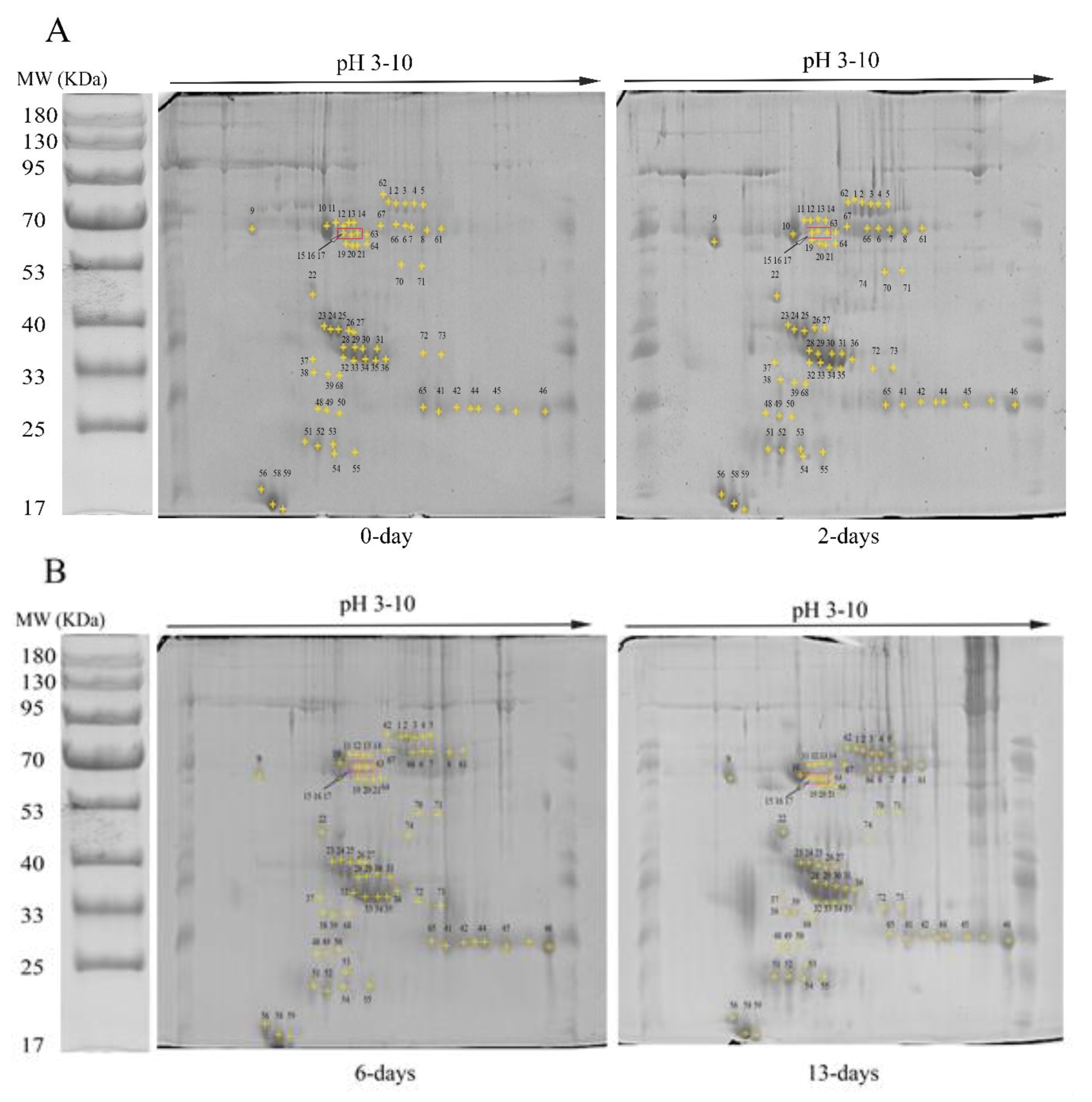 Animals 11 00744 g001a Animals 11 00744 g001a