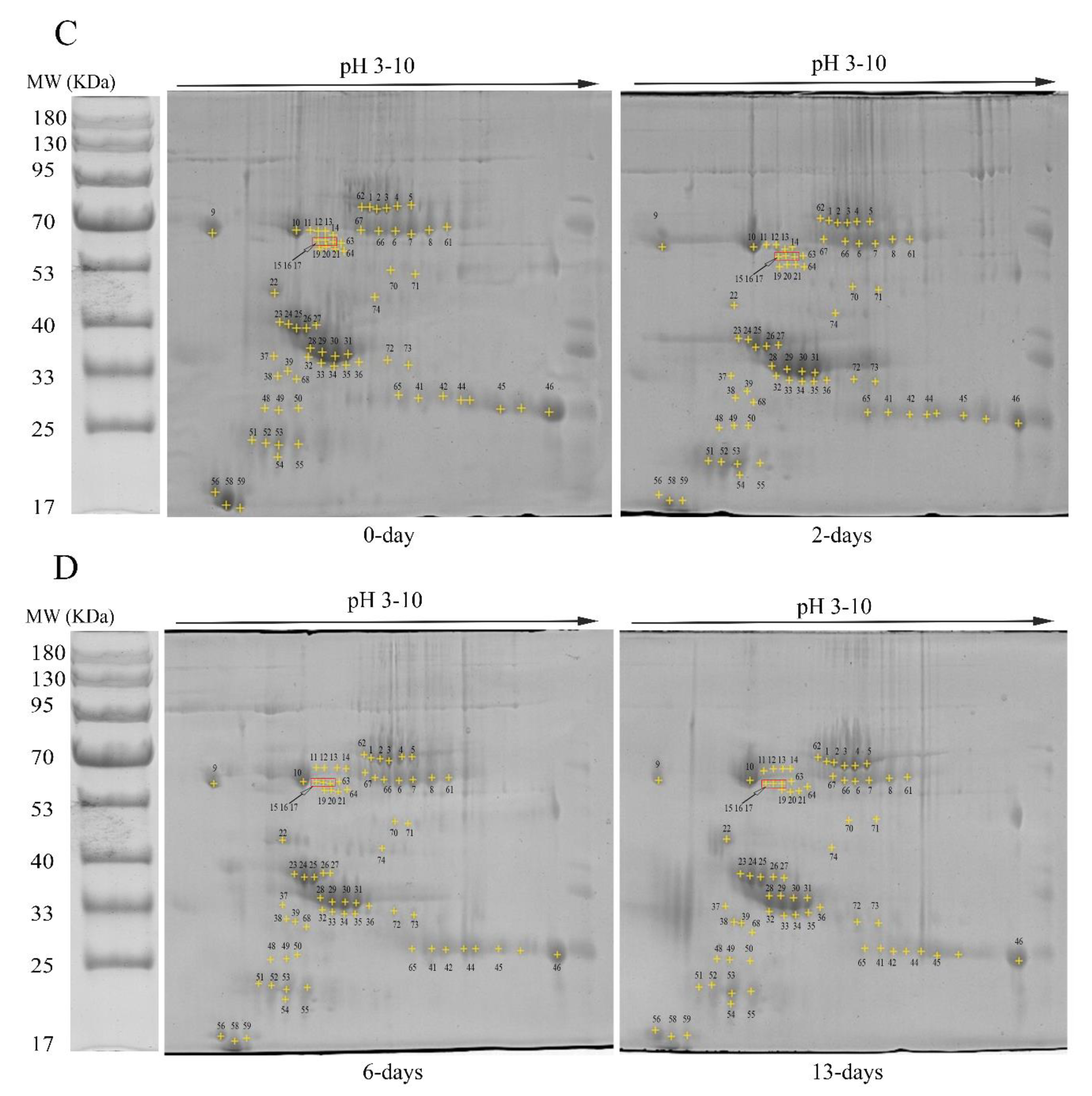 Animals 11 00744 g001b Animals 11 00744 g001b