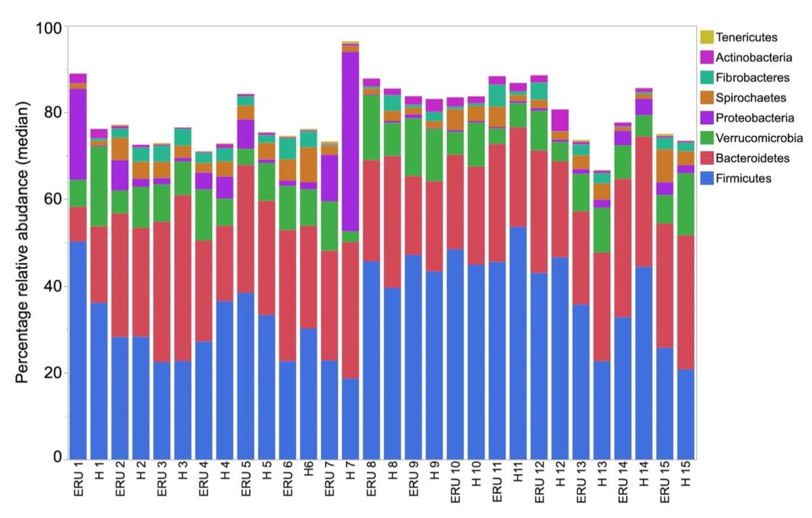 Animals 11 00745 g002