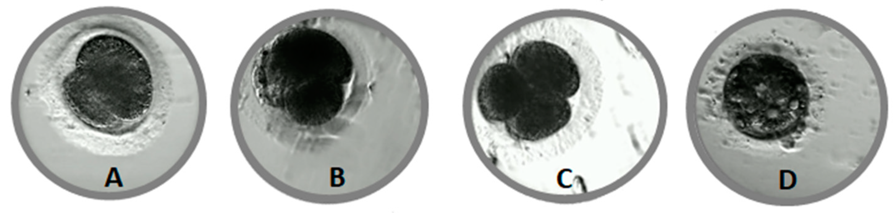 Animals 11 00748 g002