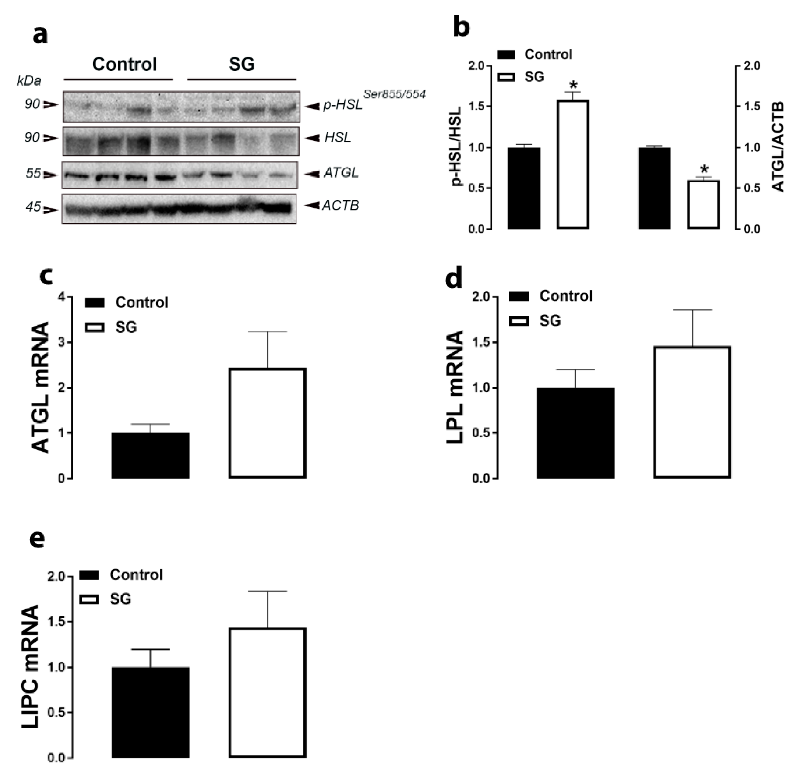 Animals 11 00750 g004 Animals 11 00750 g004