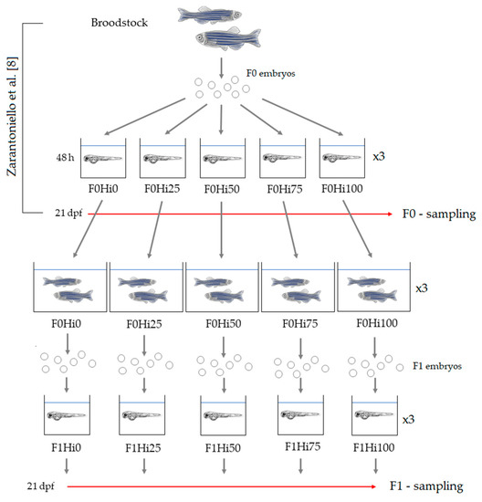 Animals Free FullText Possible Dietary Effects of InsectBased