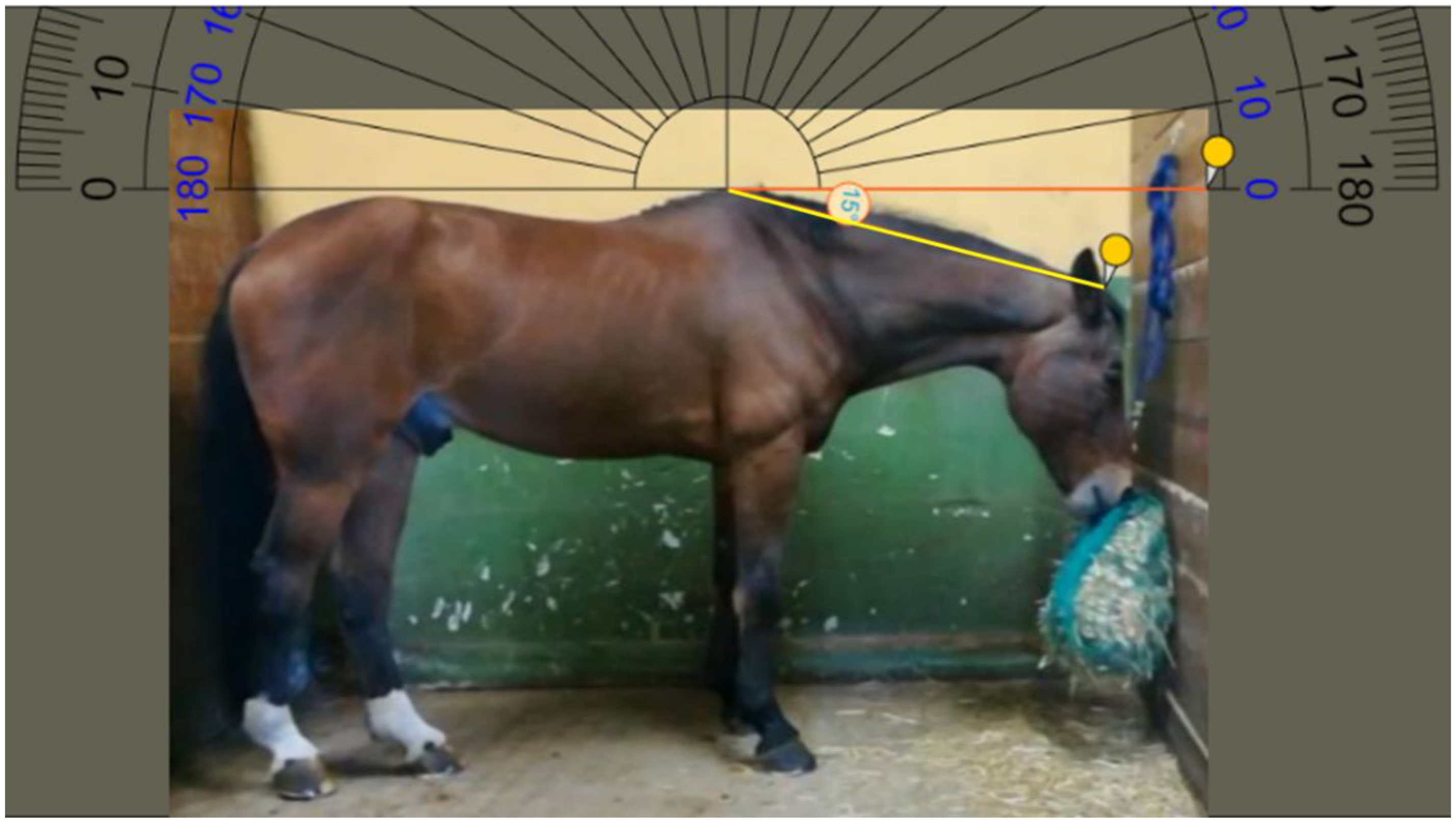 Animals 11 00763 g004 Animals 11 00763 g004