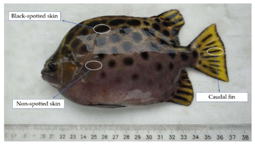 Animals 11 00765 g001 Animals 11 00765 g001