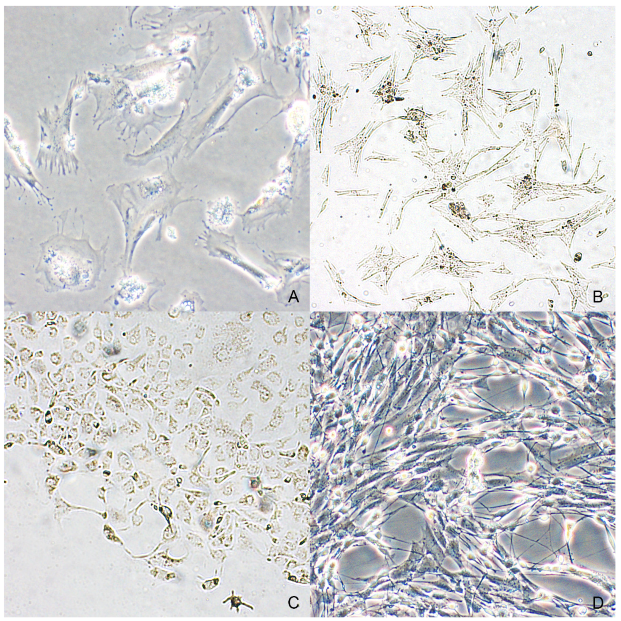 Animals 11 00768 g004