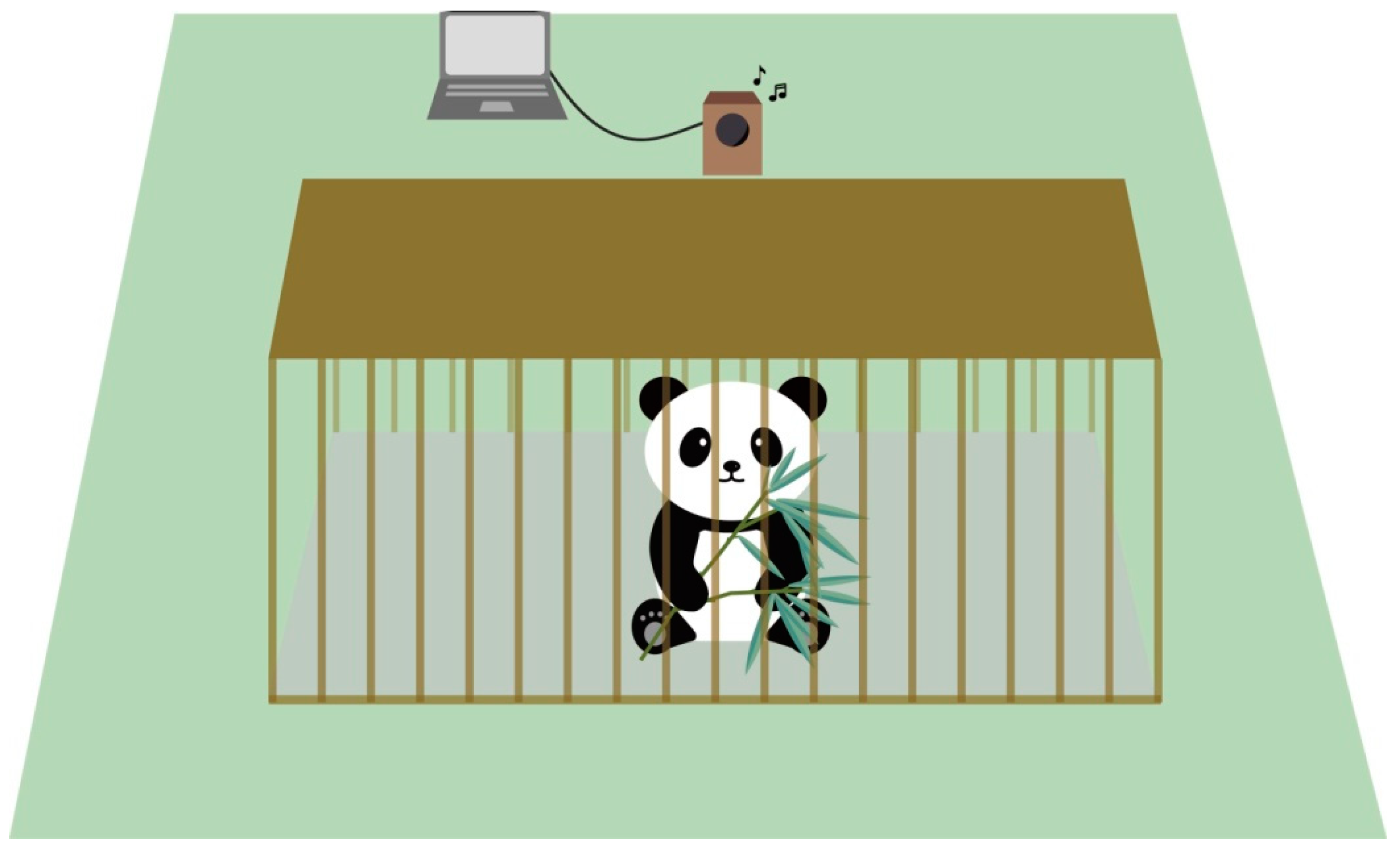 Animals 11 00774 g001