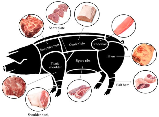 Animals | Free Full-Text | Exploratory Study: Excessive Iron  Supplementation Reduces Zinc Content in Pork without Affecting Iron and  Copper