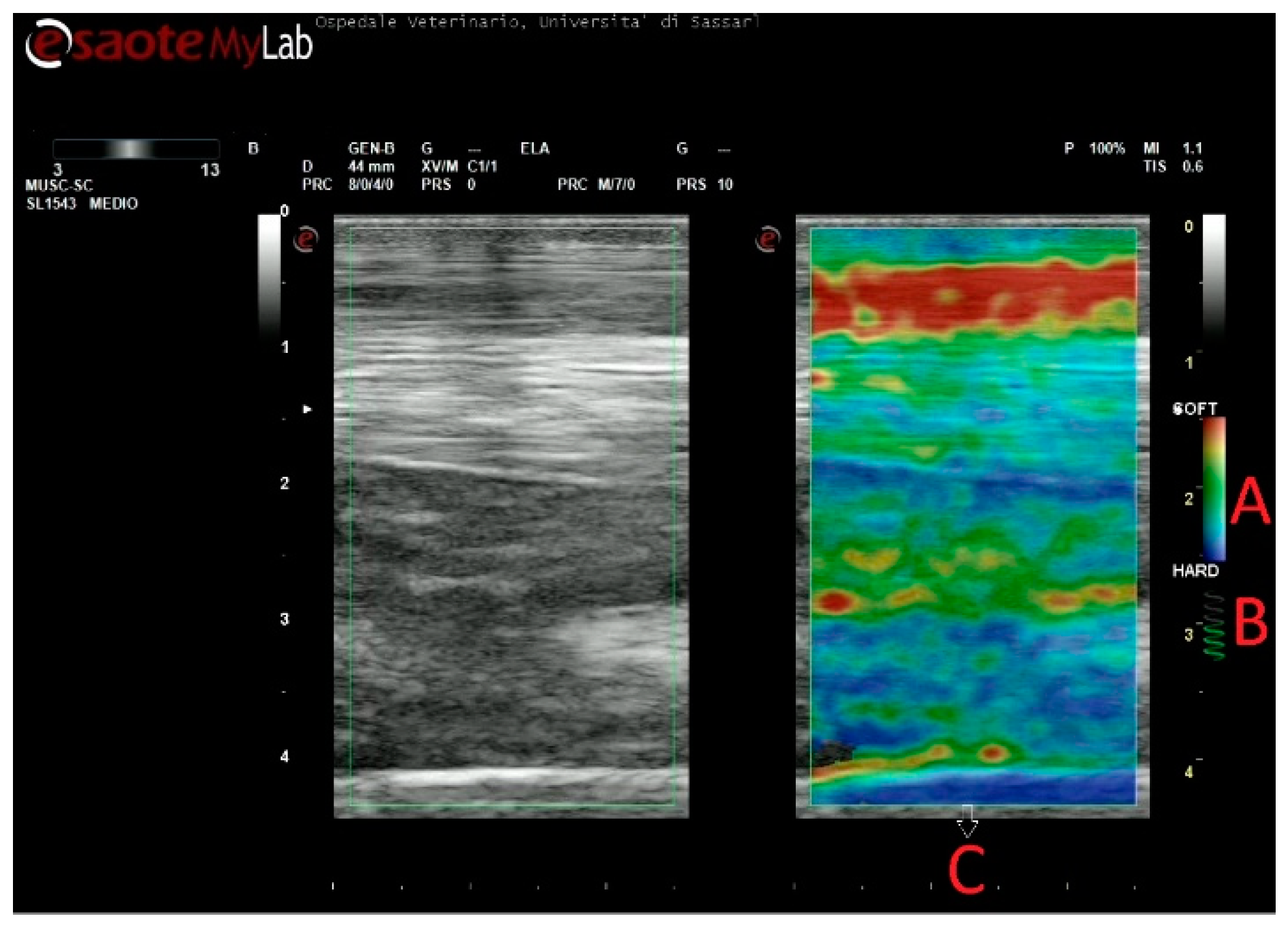 Animals 11 00795 g001