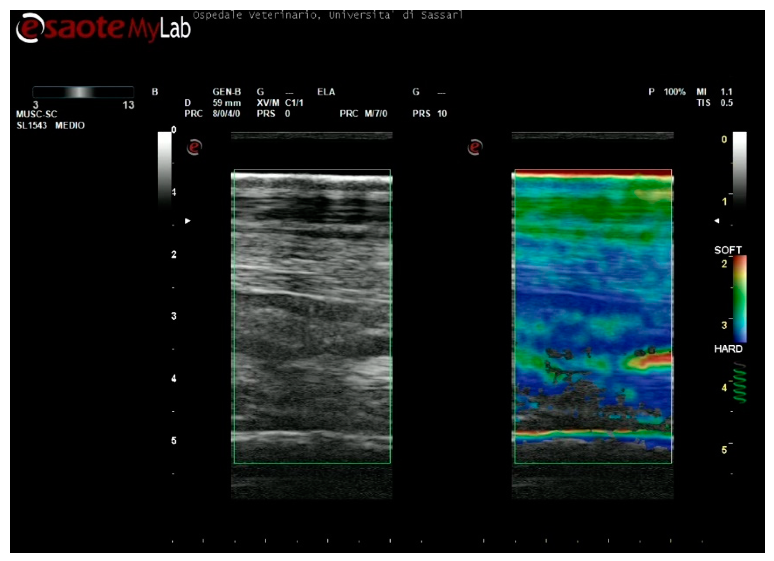 Animals 11 00795 g007