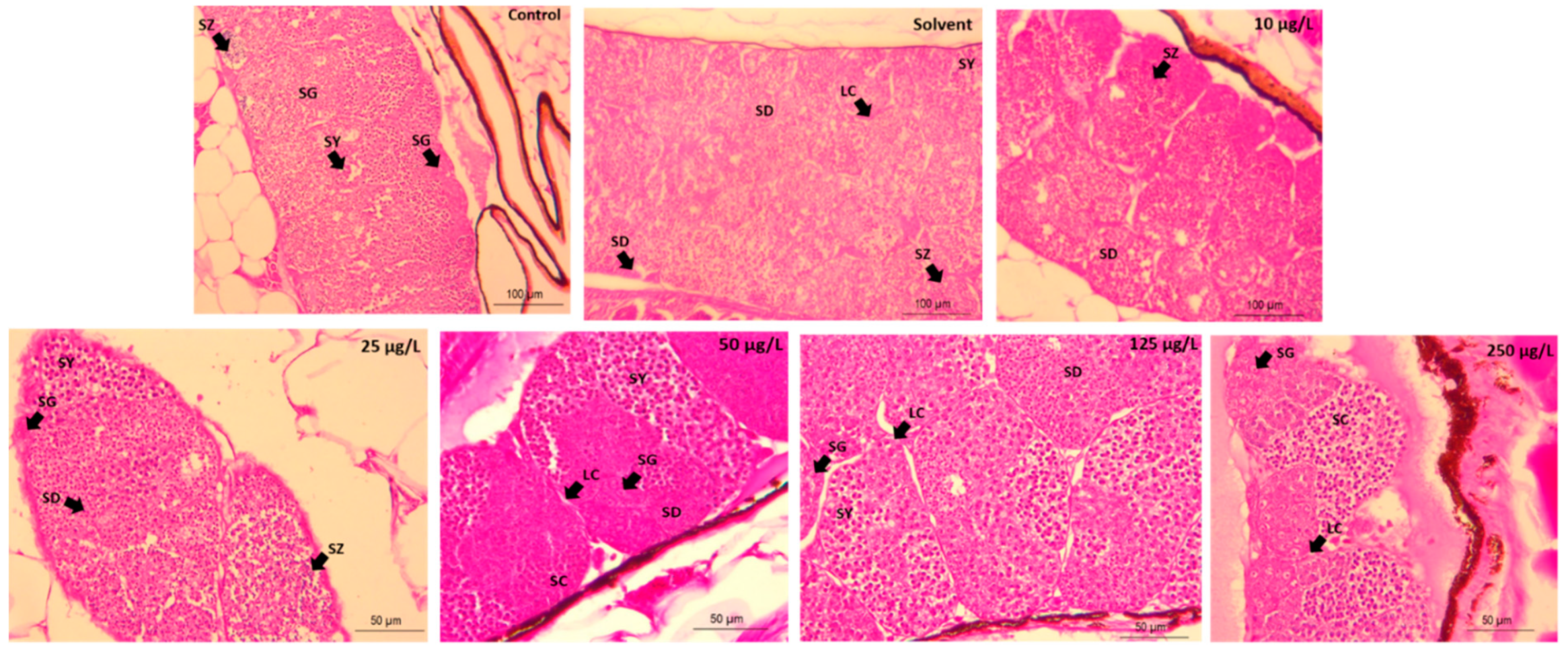 Animals 11 00798 g002 Animals 11 00798 g002