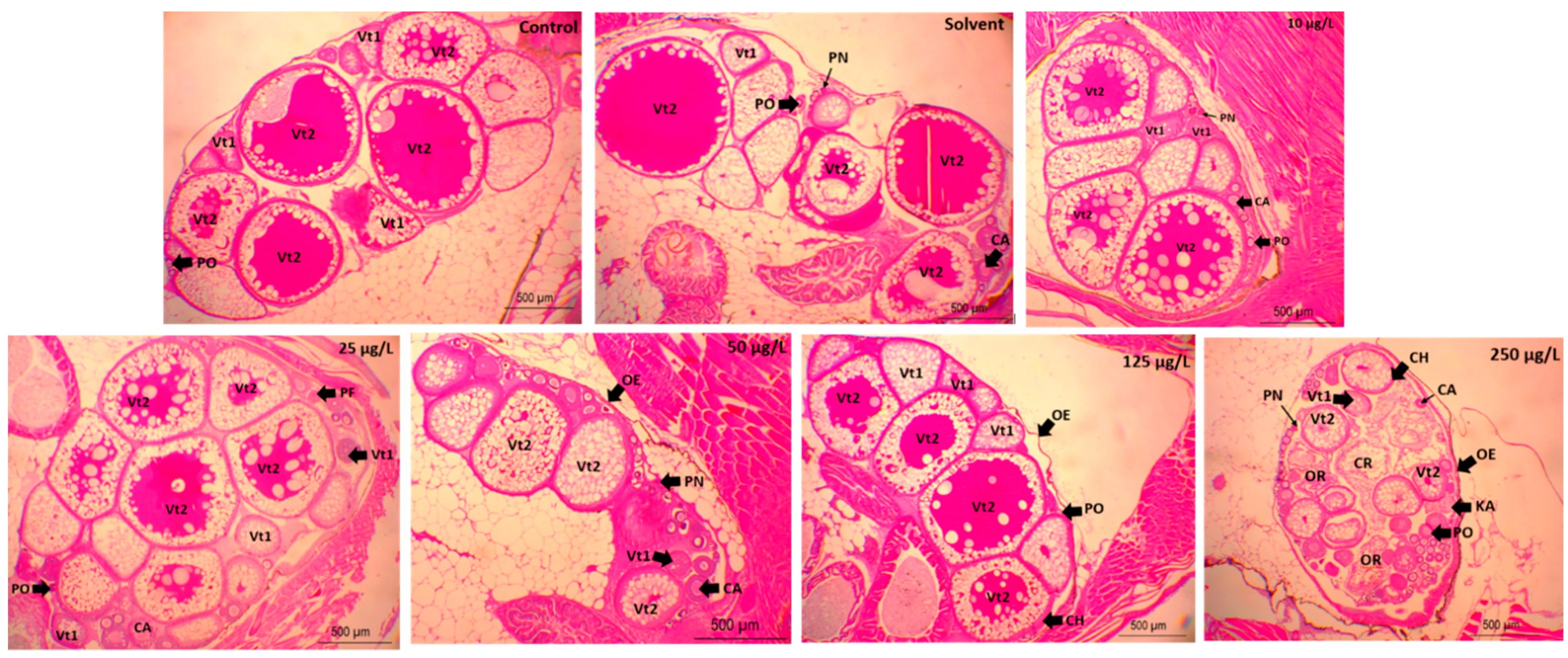 Animals 11 00798 g003 Animals 11 00798 g003