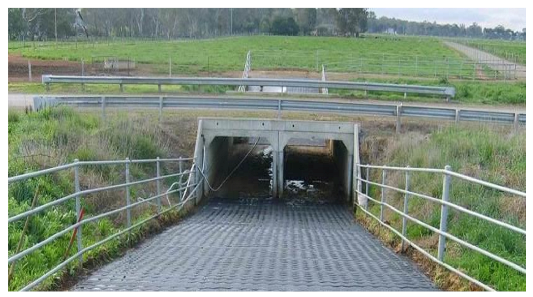 Animals 11 00799 g002 Animals 11 00799 g002