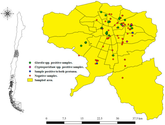 Gyomor-bél hurut – Wikipédia
