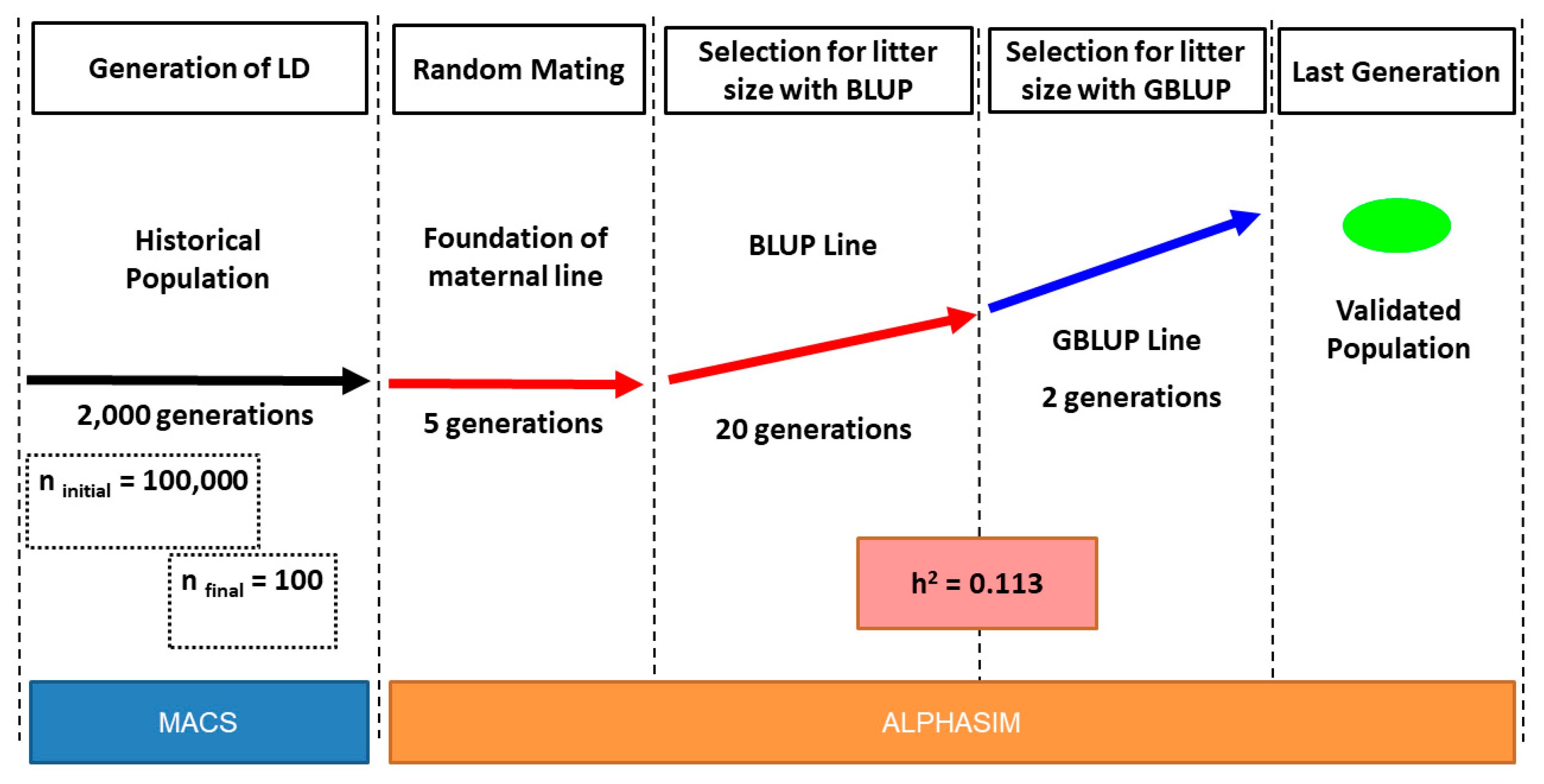 Animals 11 00803 g001 Animals 11 00803 g001