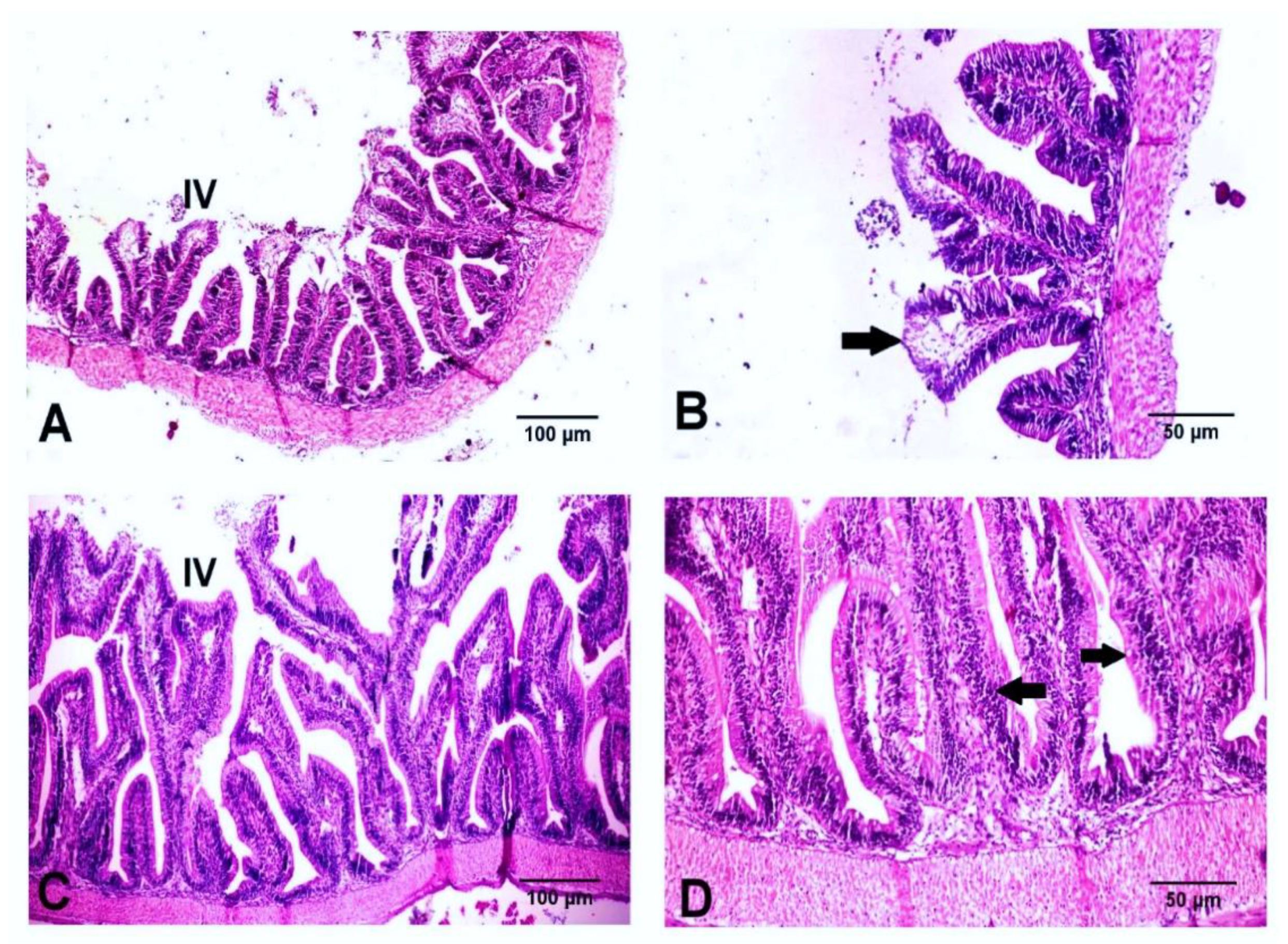 Animals 11 00815 g007 Animals 11 00815 g007