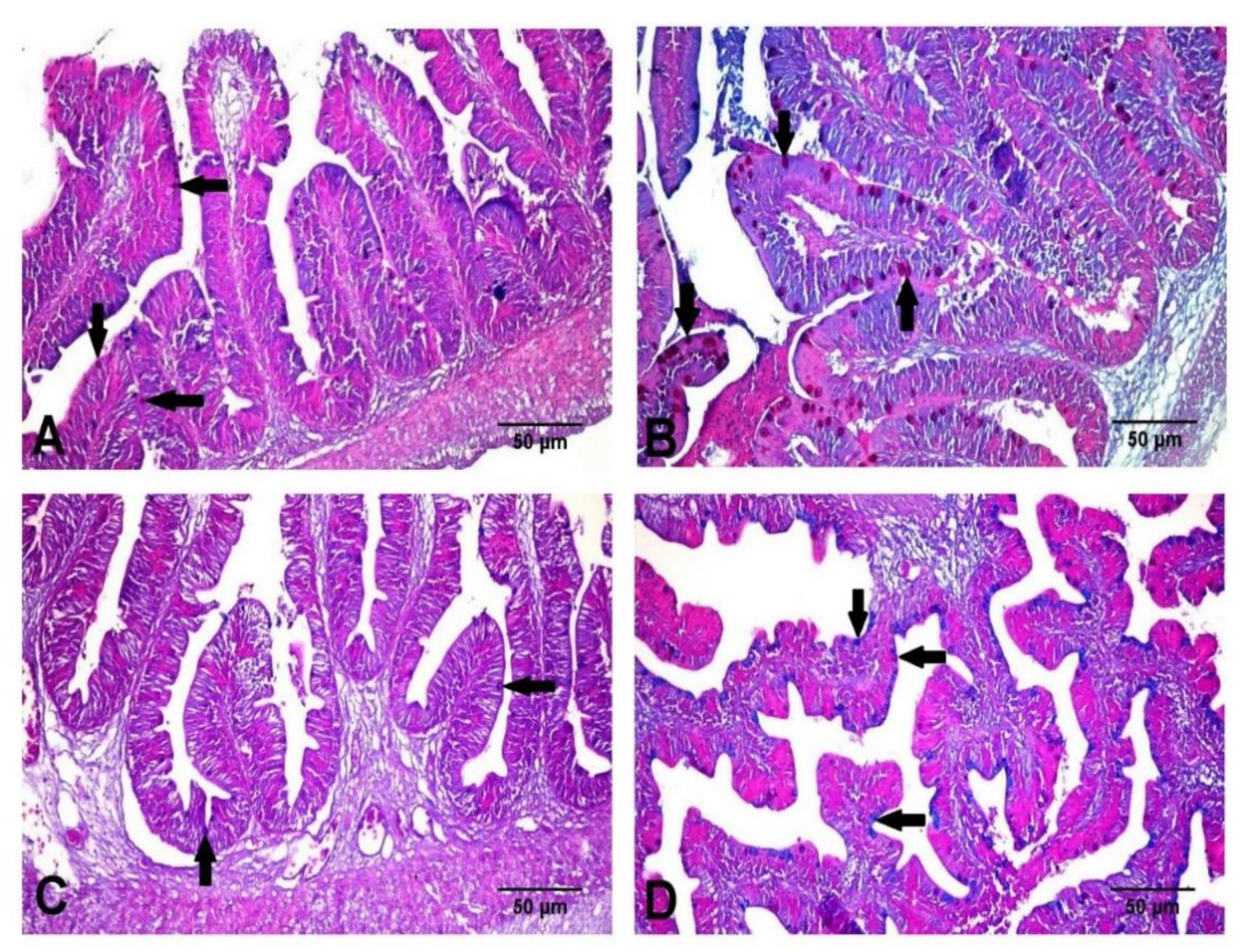 Animals 11 00815 g008 Animals 11 00815 g008