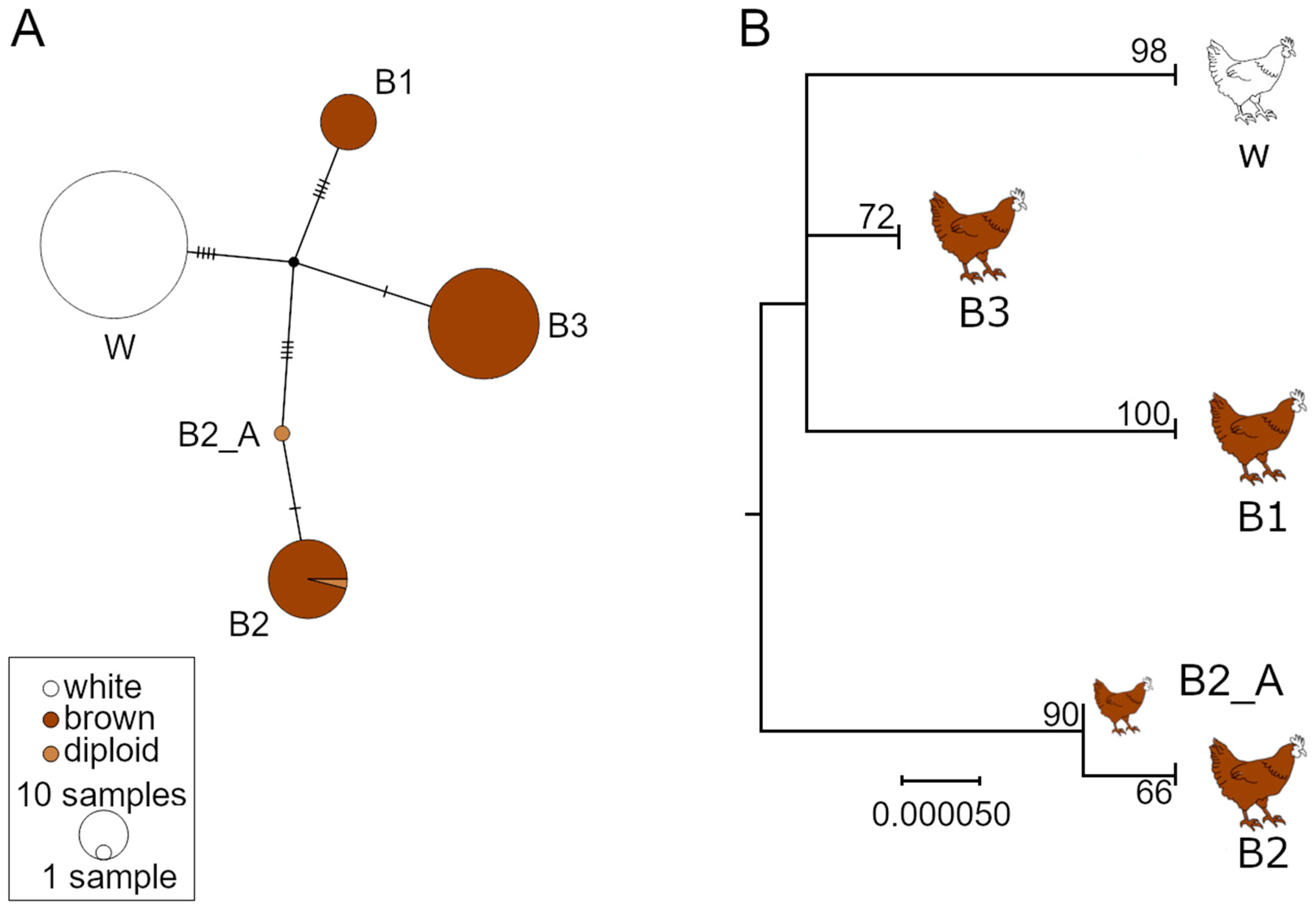 Animals 11 00825 g002