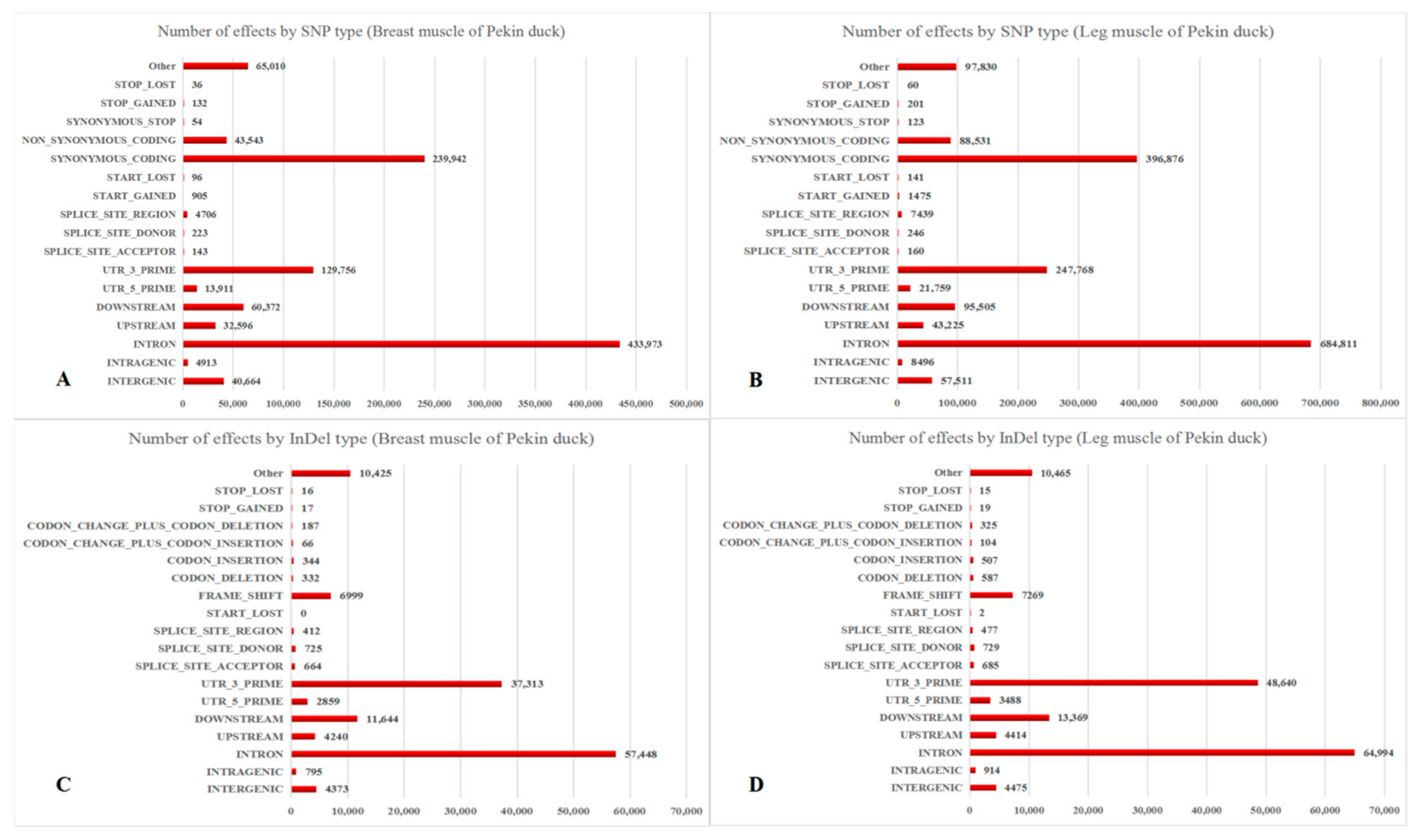 Characterization and Comparative Transcriptomic Analysis of