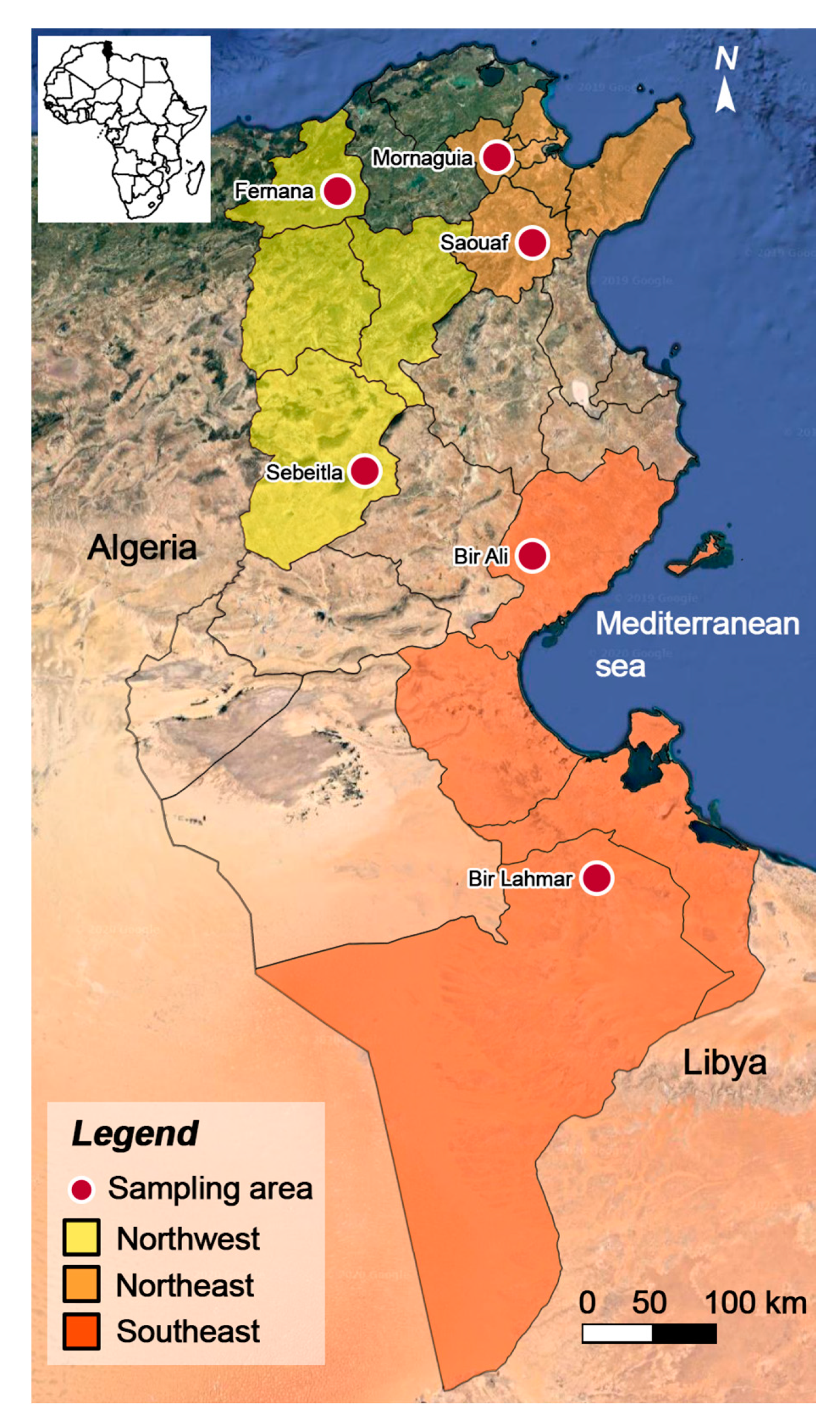 How do new technologies - Mindray Libya - ATLAS med.