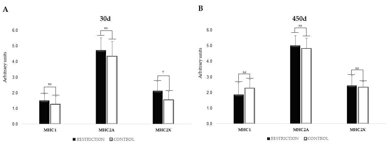 Animals 11 00860 g004 Animals 11 00860 g004