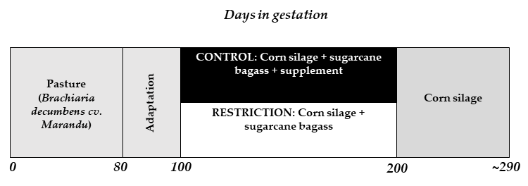 Animals 11 00860 sch001 Animals 11 00860 sch001