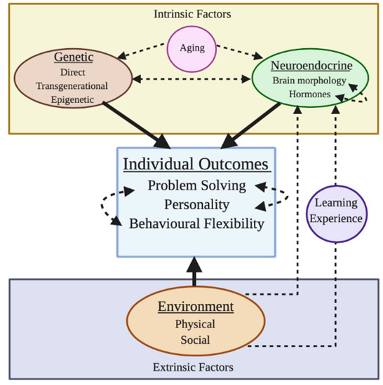 Animals Free Full Text Problem Solving In Animals Proposal For An Ontogenetic Perspective Html