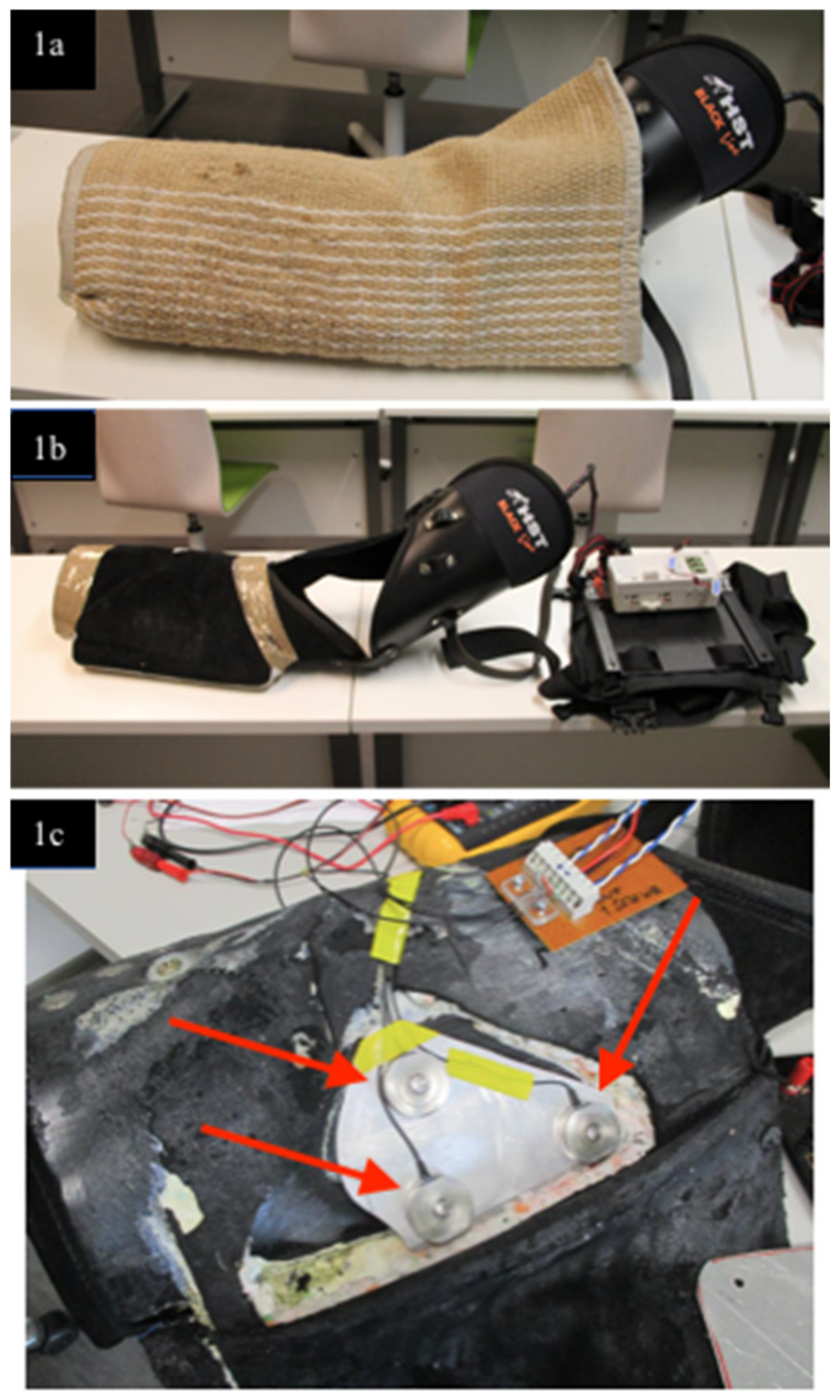 Animals 11 00874 g001