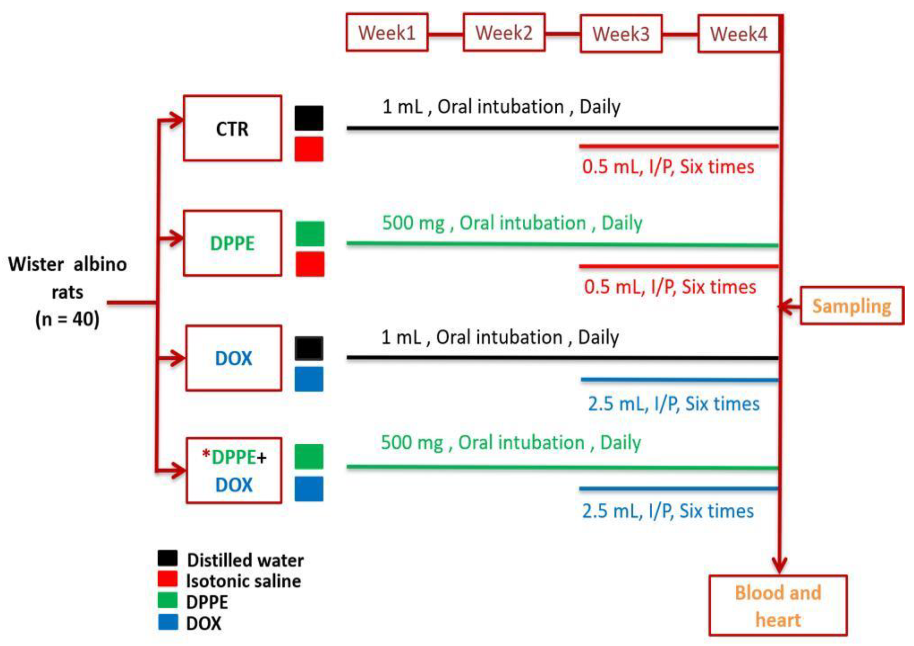 品質検査済 Pollen Palm Date Extract Doxorubicin-Induced Avert スポーツ選手
