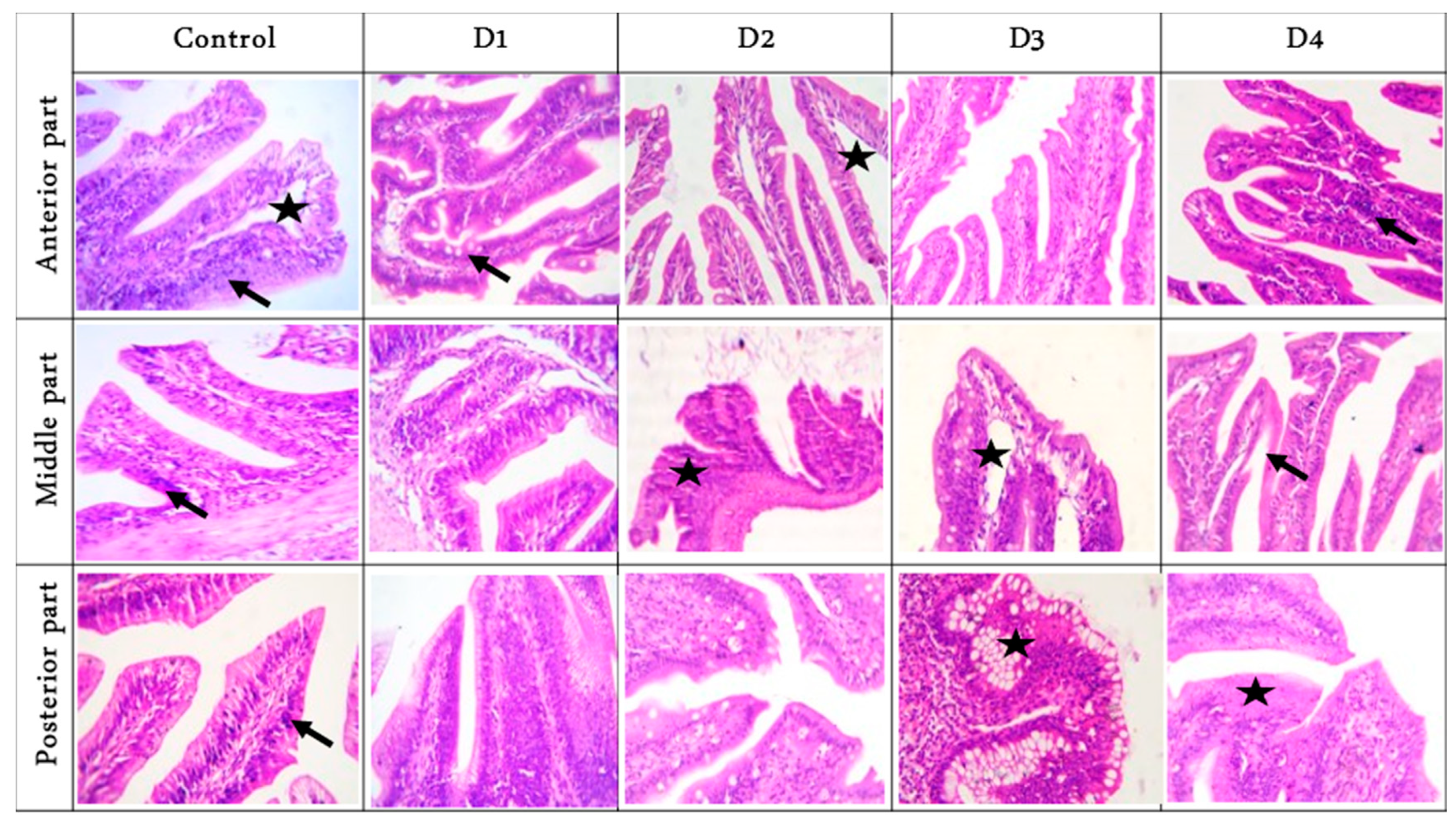 Animals 11 00889 g001 Animals 11 00889 g001