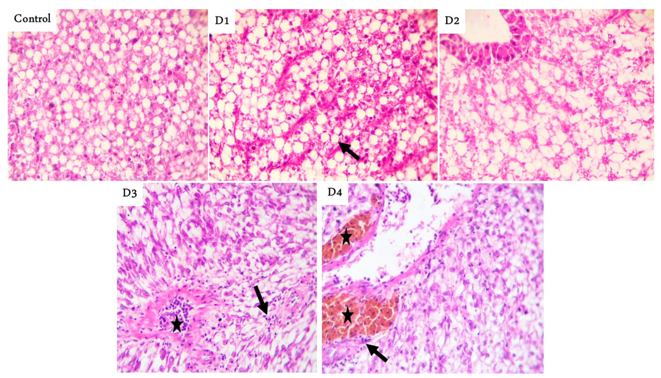 Animals 11 00889 g002 Animals 11 00889 g002