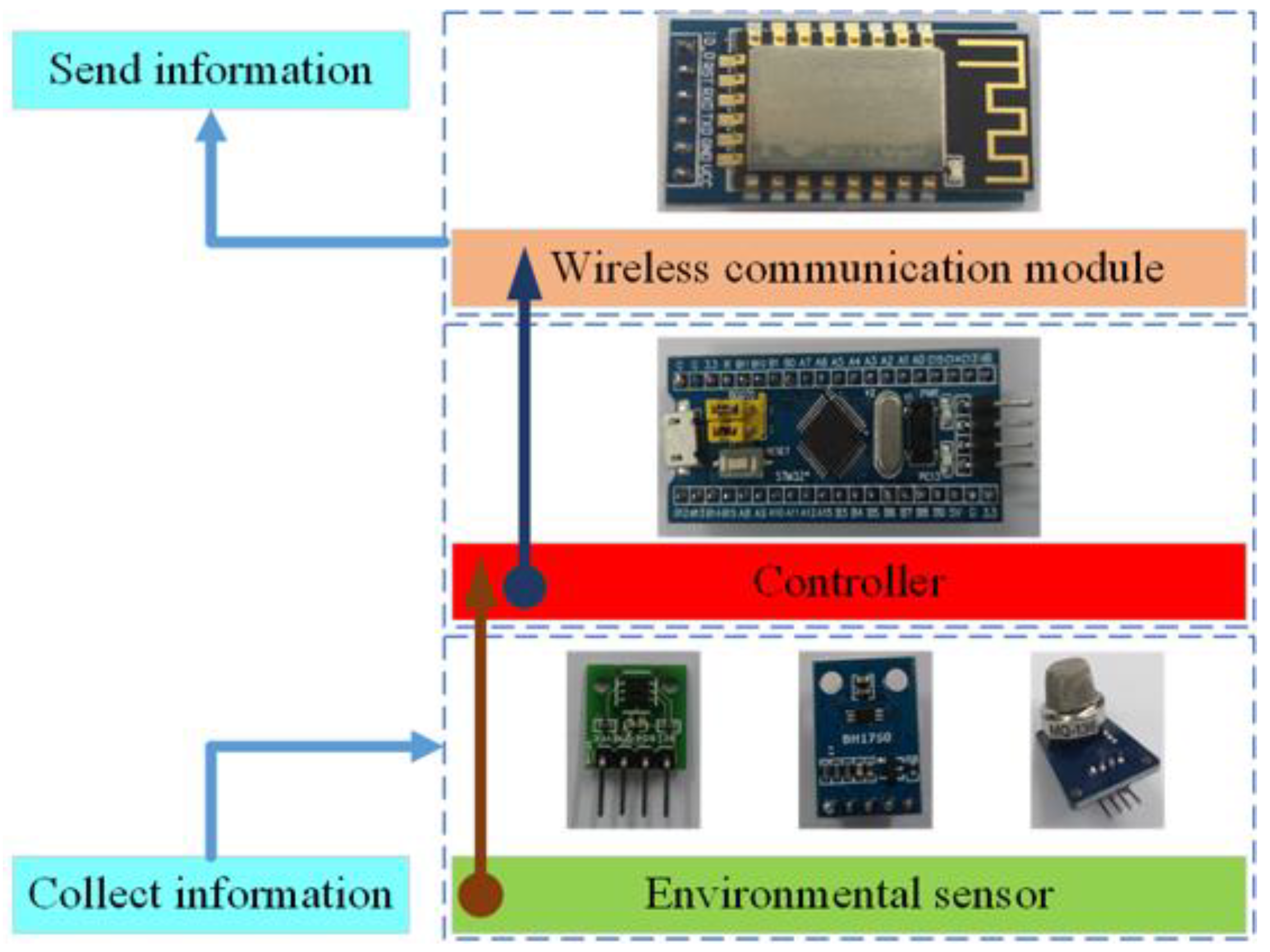 Animals 11 00900 g005