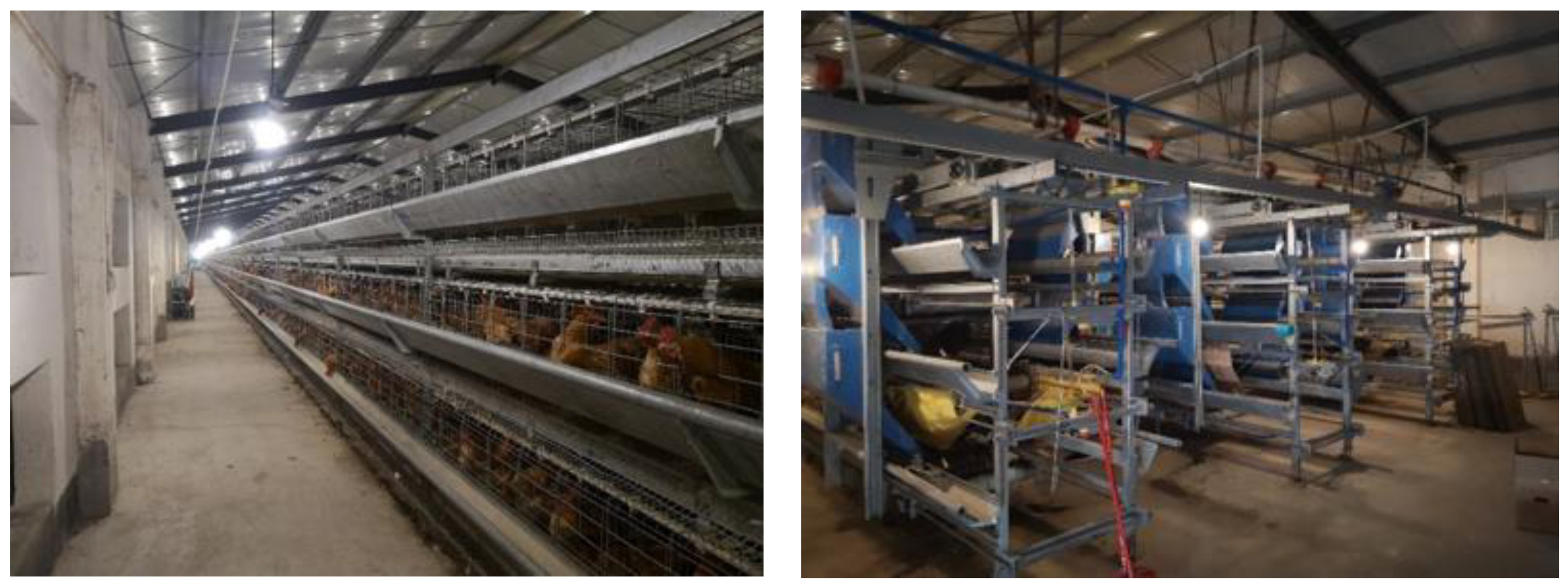 Animals 11 00900 g013