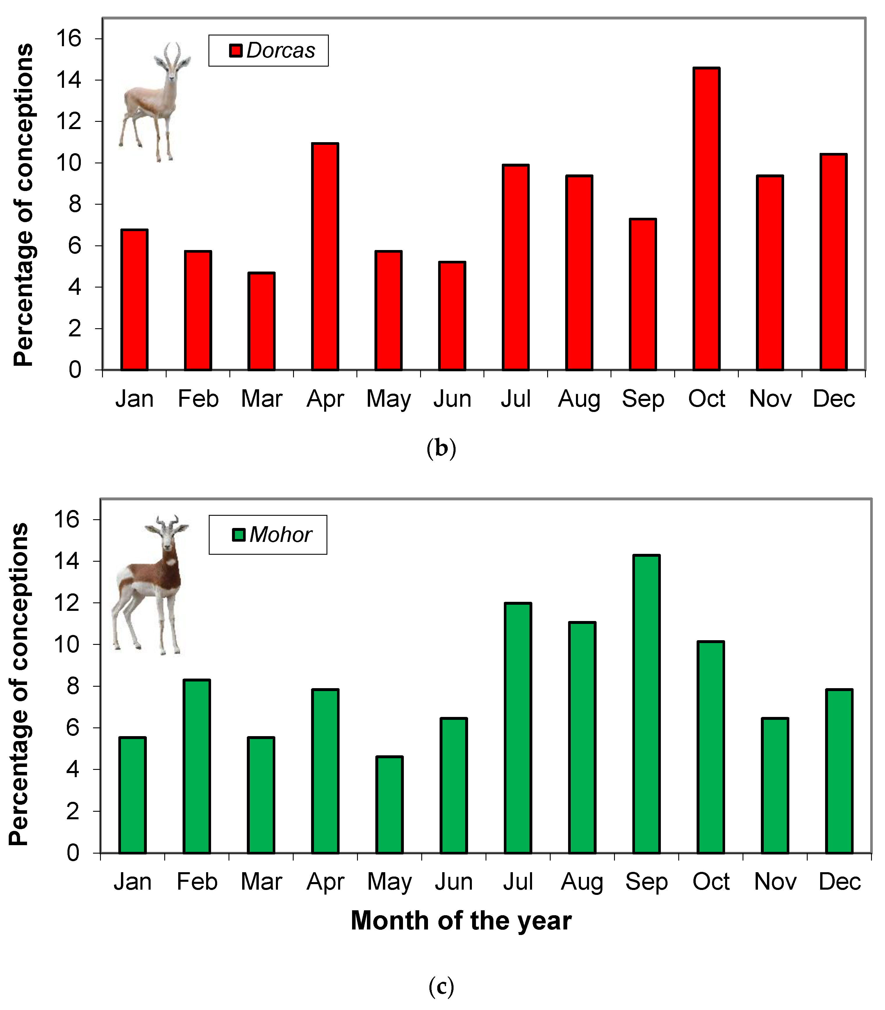 Animals 11 00901 g002b Animals 11 00901 g002b