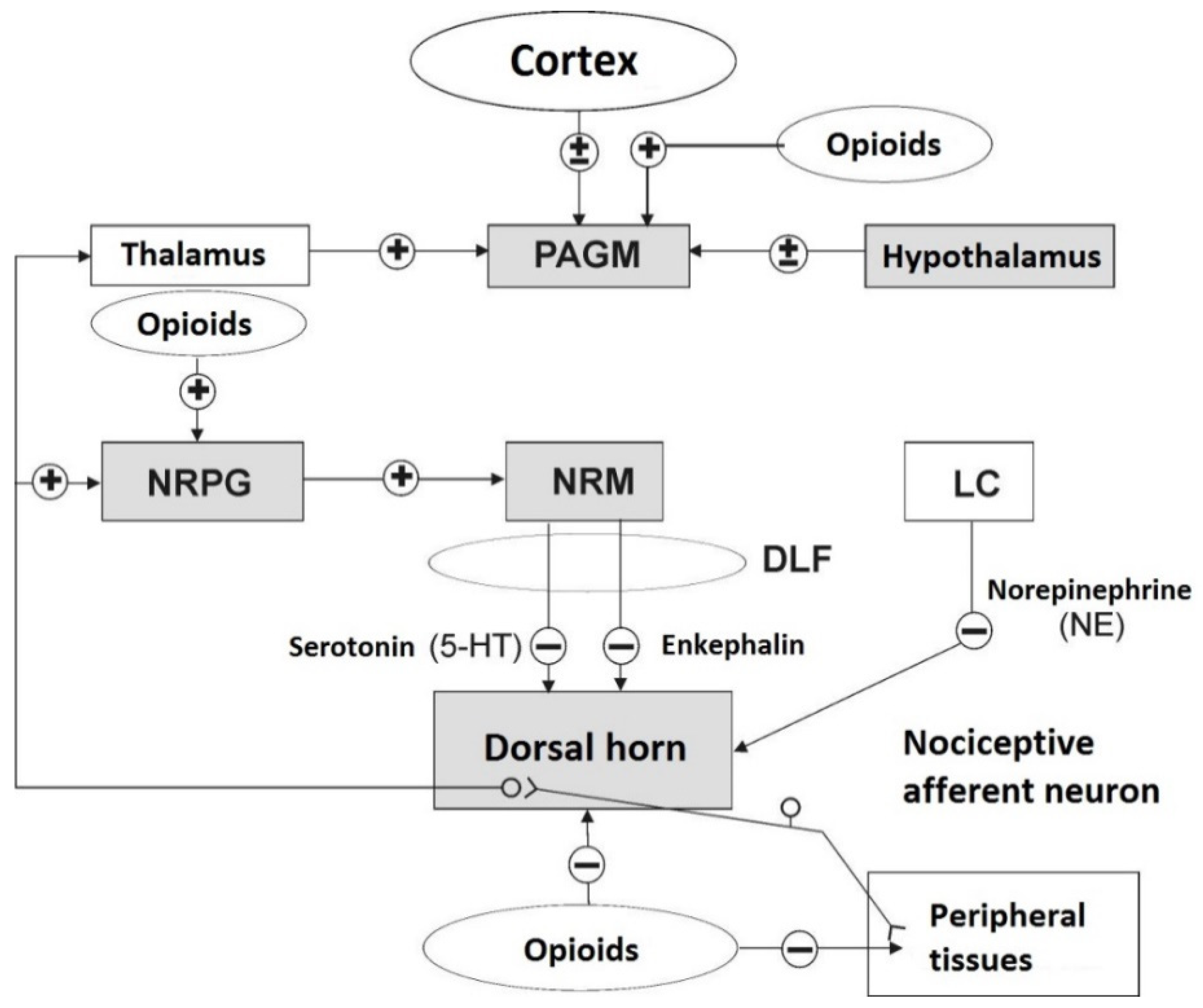 Animals 11 00909 g003 Animals 11 00909 g003