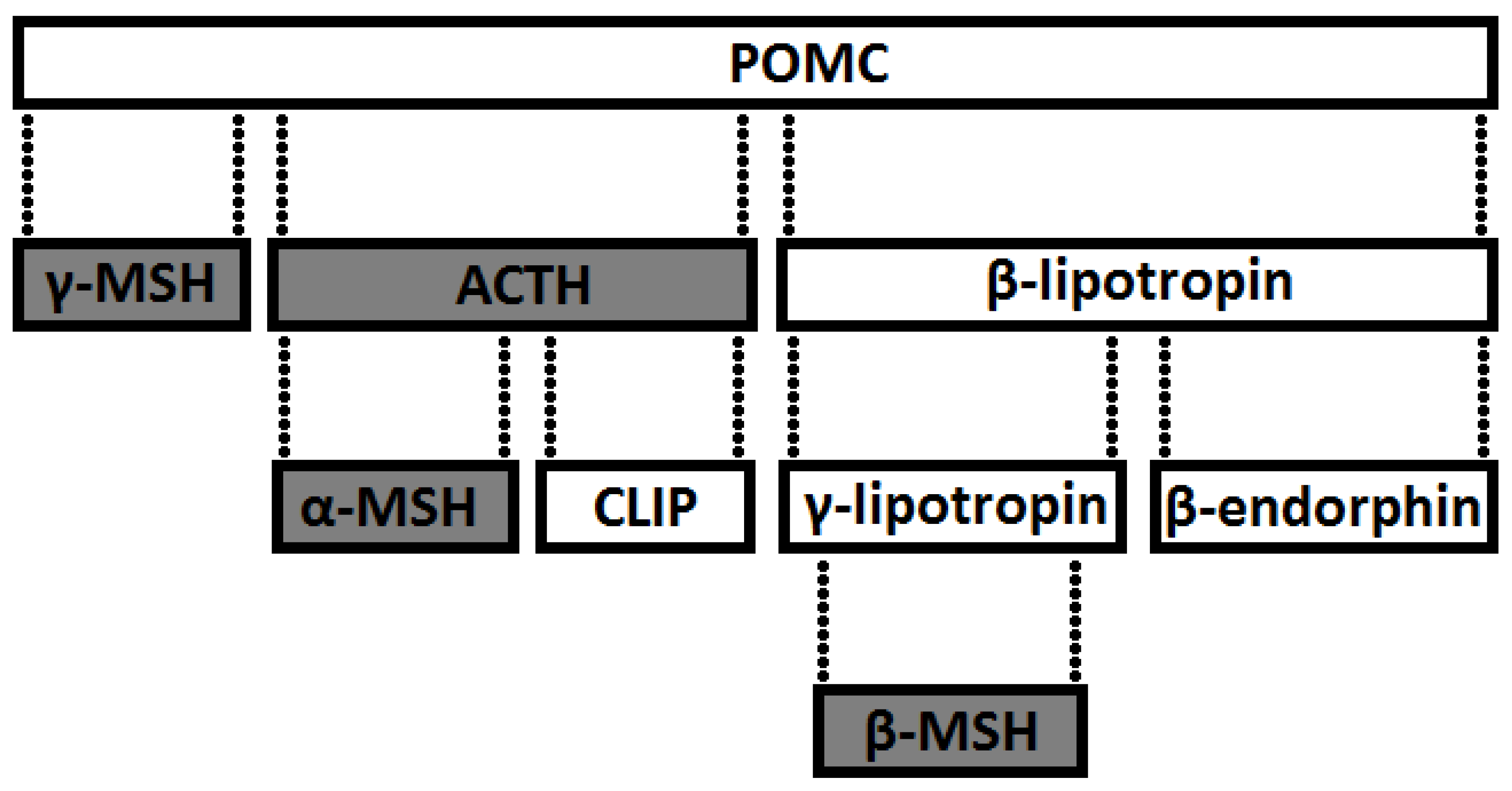Animals 11 00909 g004 Animals 11 00909 g004