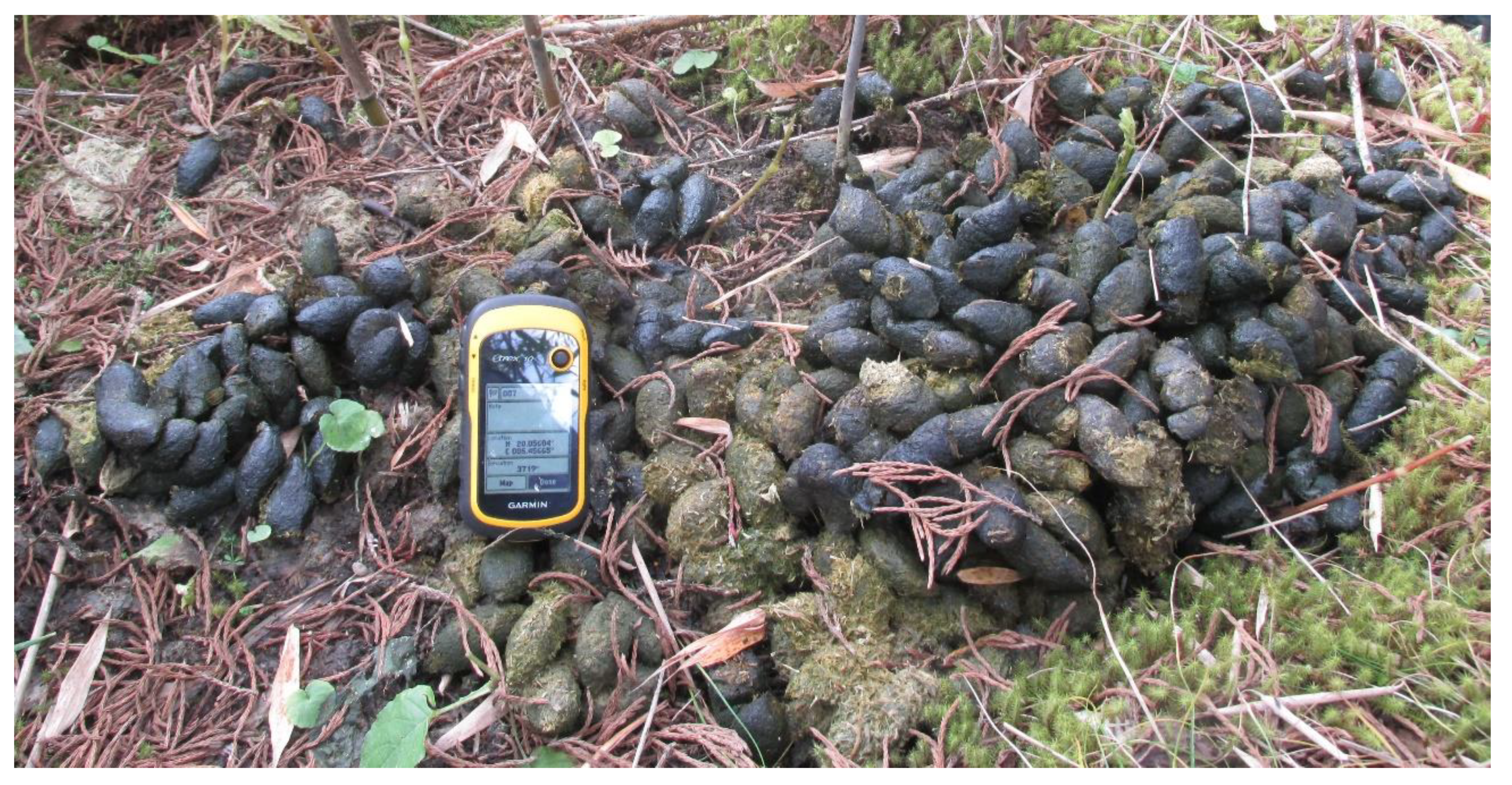 Animals 11 00921 g001 Animals 11 00921 g001