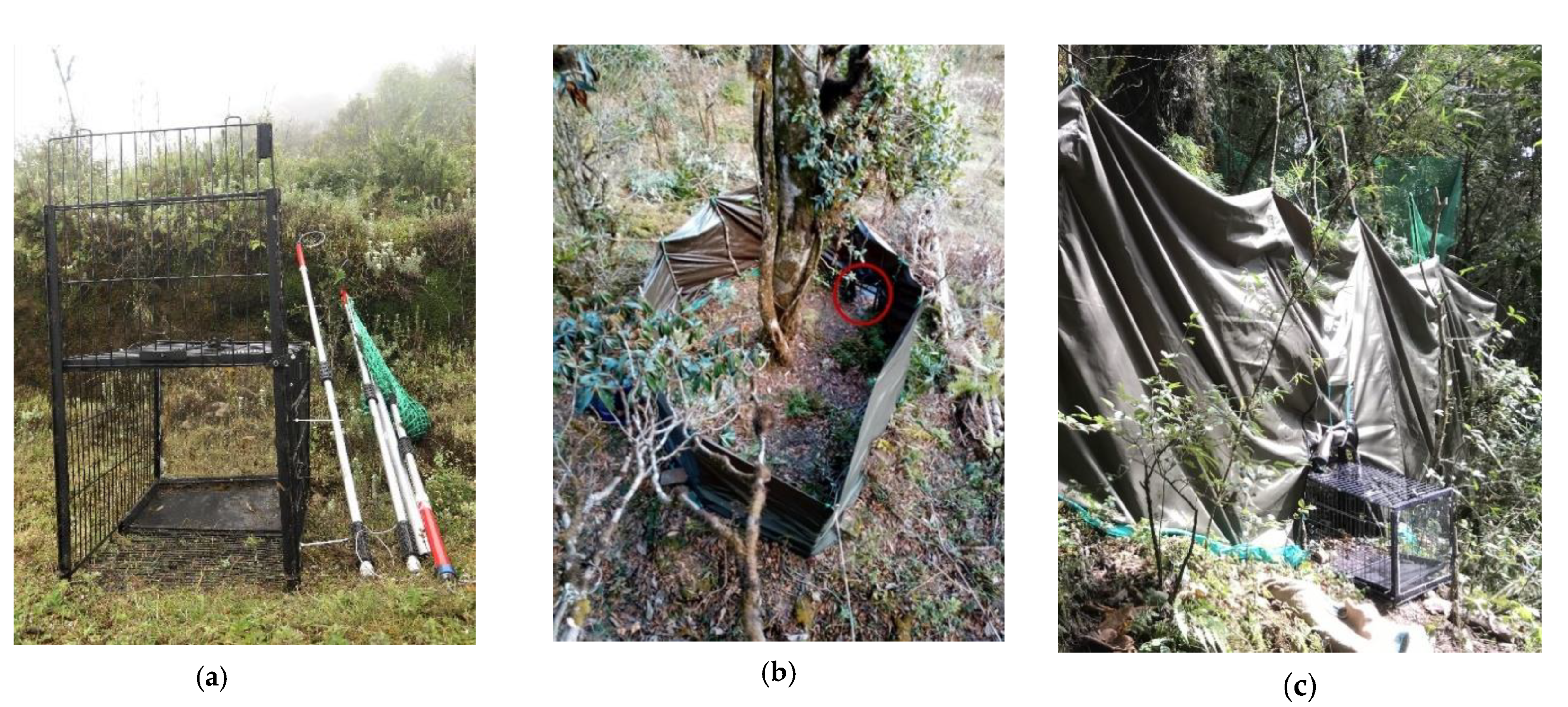 Animals 11 00921 g002 Animals 11 00921 g002