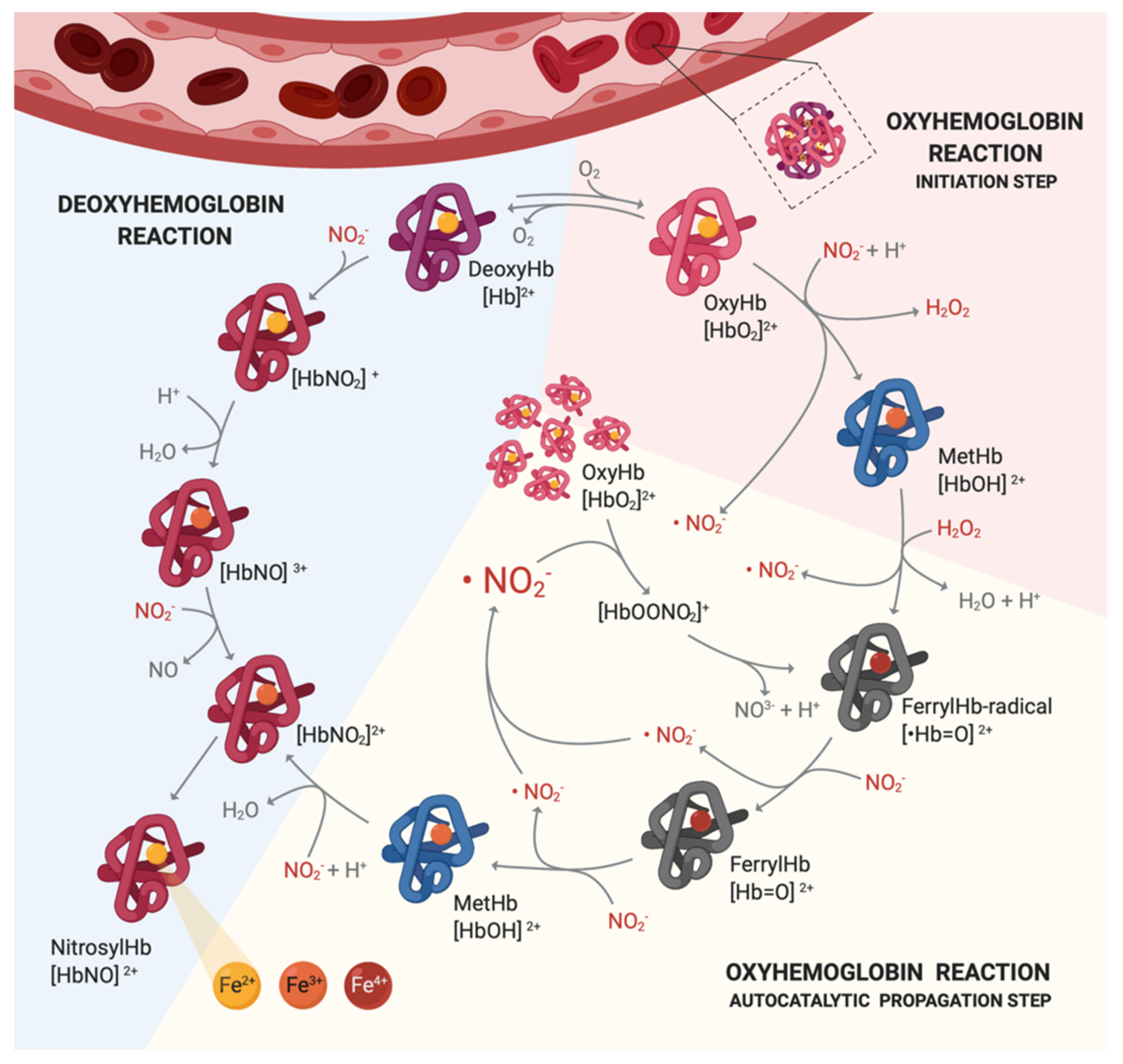 Animals 11 00923 g002 Animals 11 00923 g002