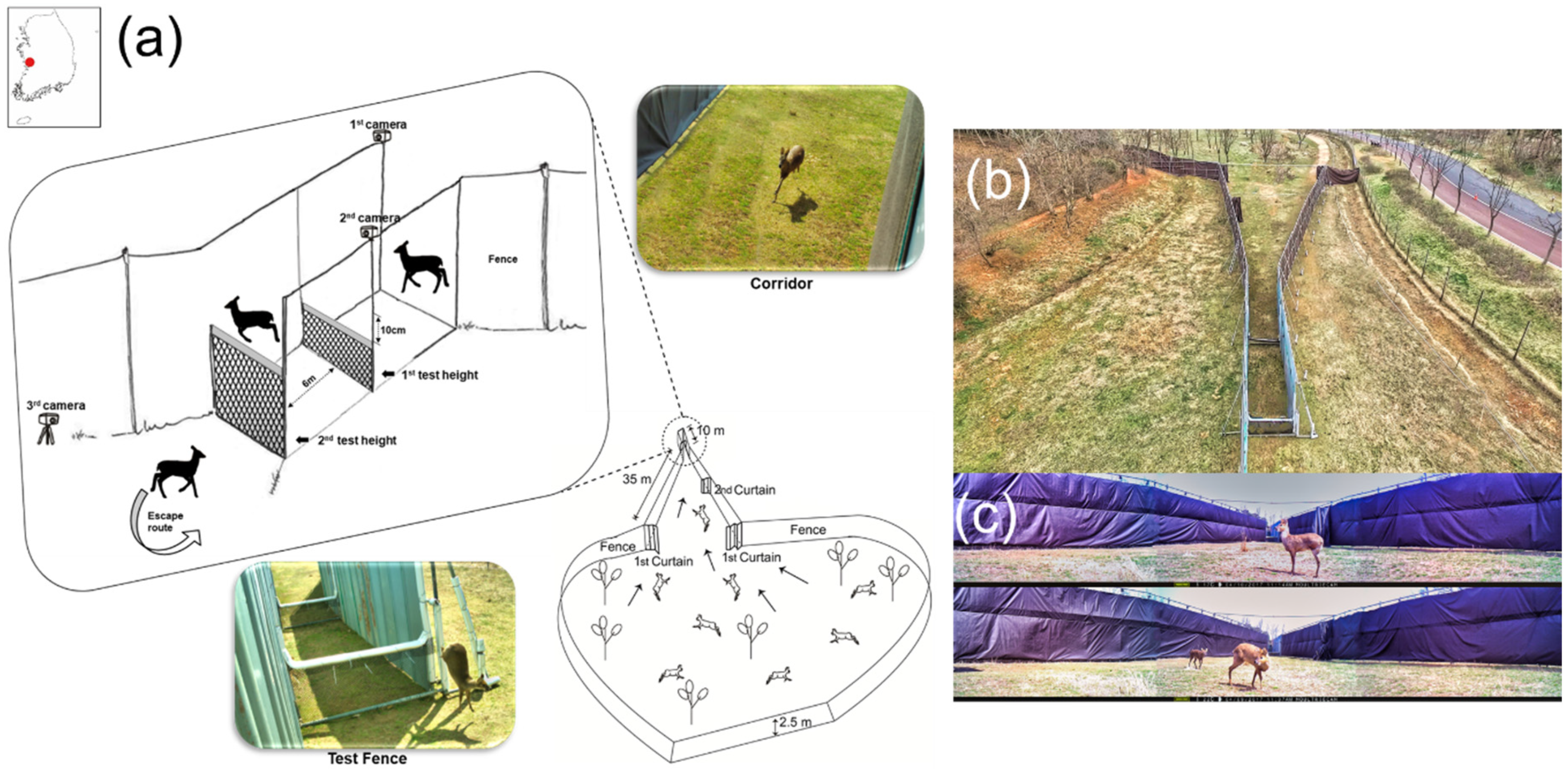 Animals 11 00938 g001 Animals 11 00938 g001